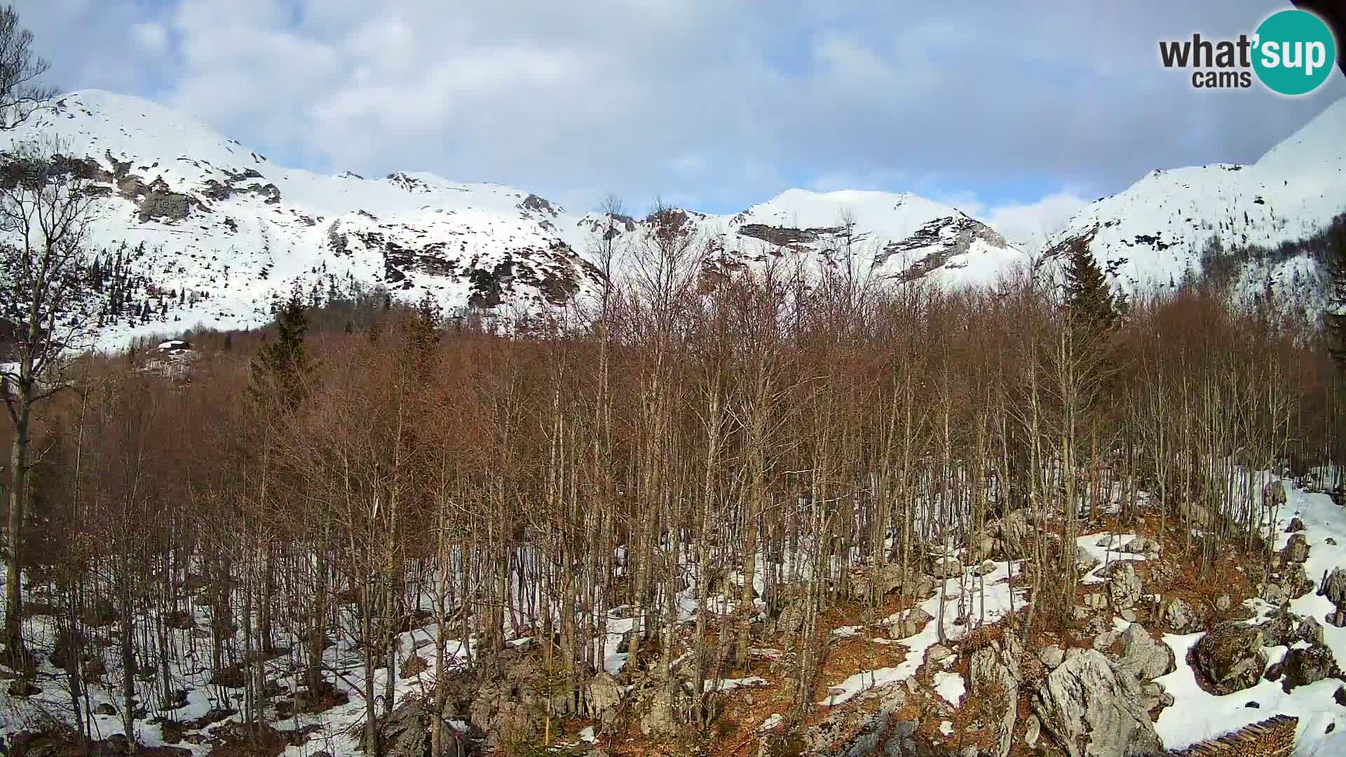 PLANINA RAZOR webcam (1315) | view to Vogel and Globoko