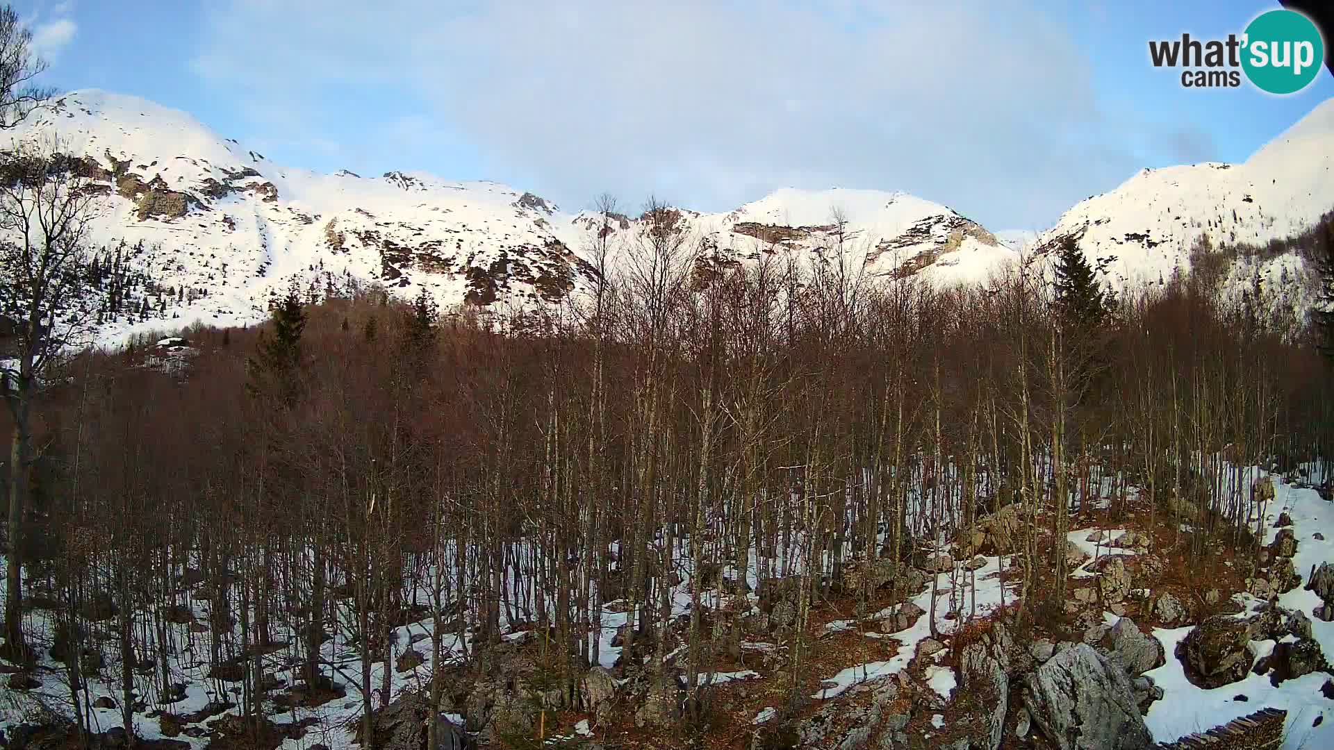 Livecam PLANINA RAZOR (1315) | vue sur Vogel et Globoko