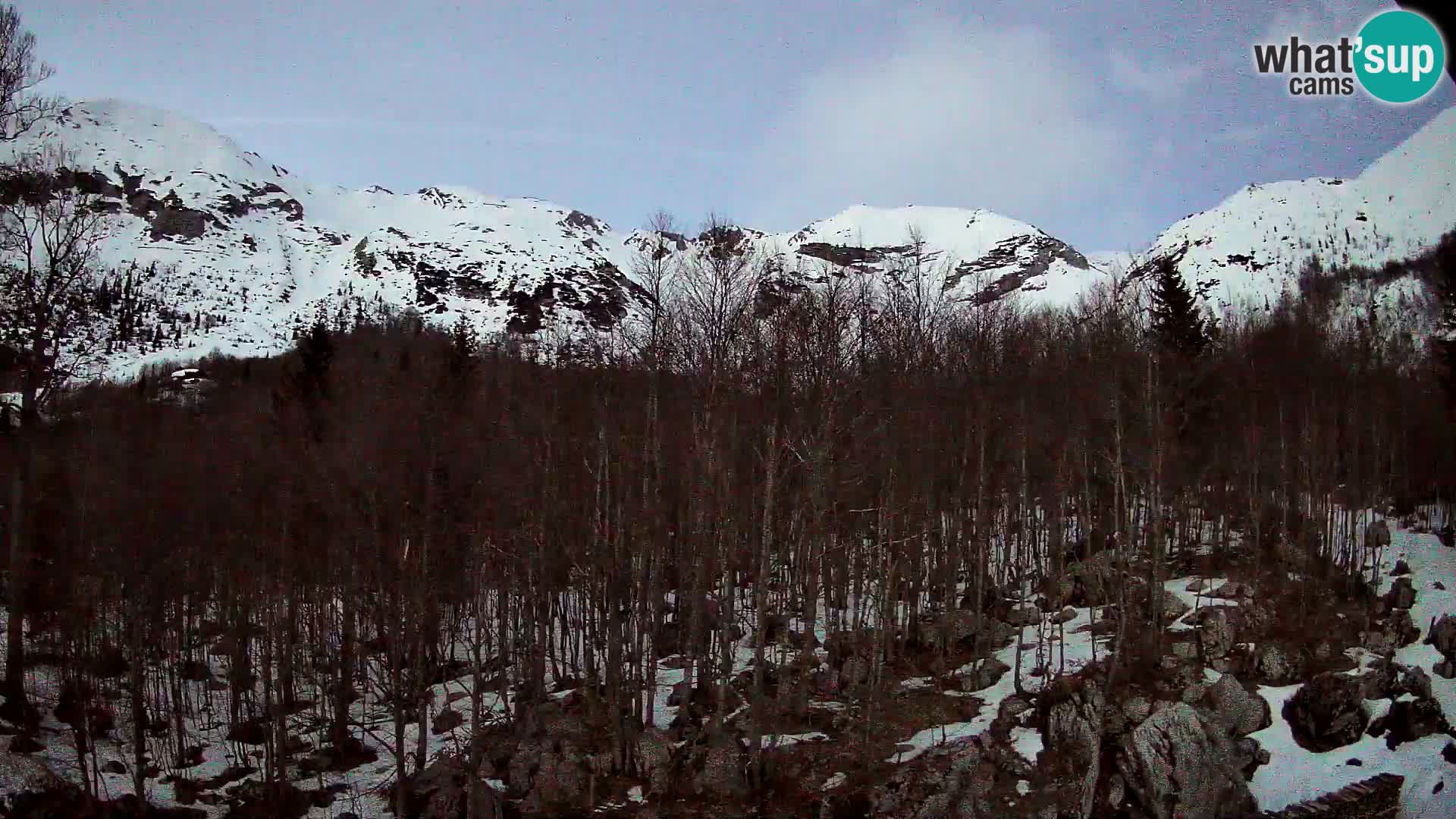 PLANINA RAZOR webcam (1315) | view to Vogel and Globoko