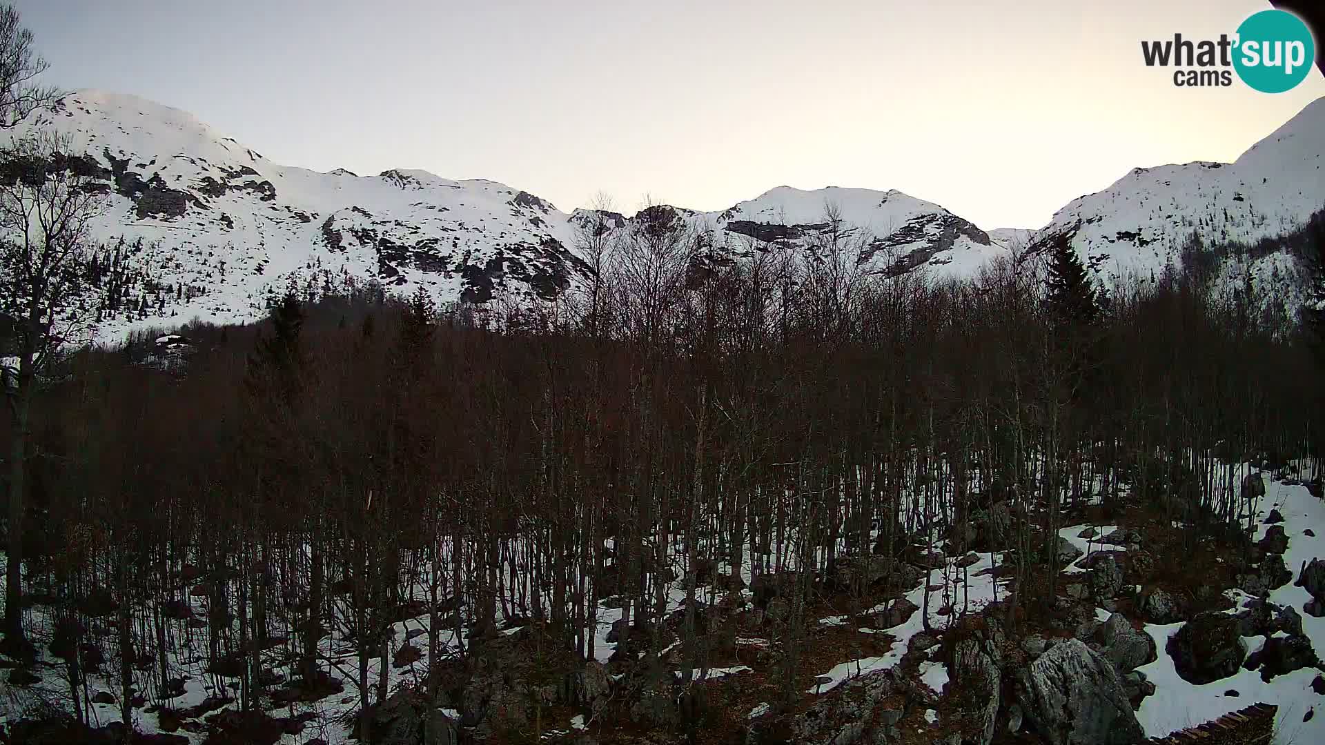 PLANINA RAZOR webcam (1315) | view to Vogel and Globoko