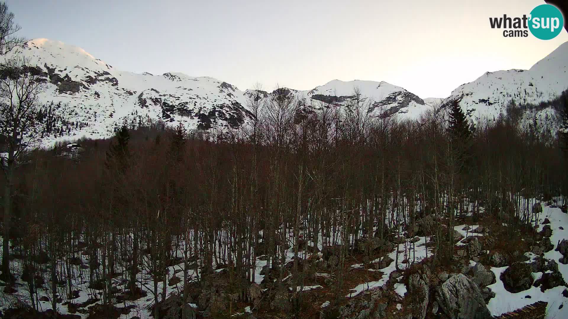 Cámara web PLANINA RAZOR (1315) | vista a Vogel y Globoko