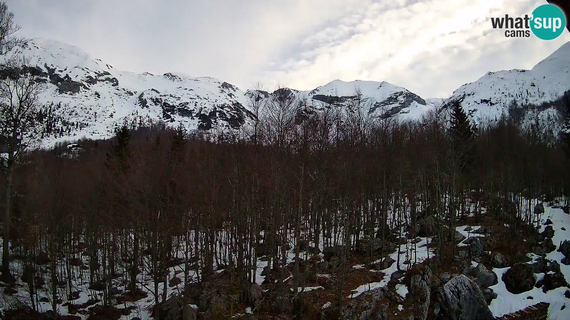 PLANINA RAZOR webcam (1315) | view to Vogel and Globoko