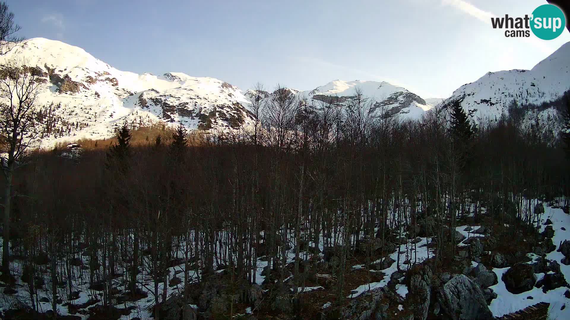 PLANINA RAZOR webcam (1315) | view to Vogel and Globoko