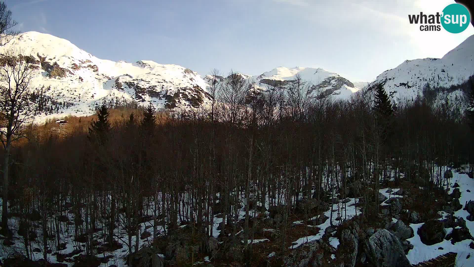 PLANINA RAZOR webcam (1315) | view to Vogel and Globoko