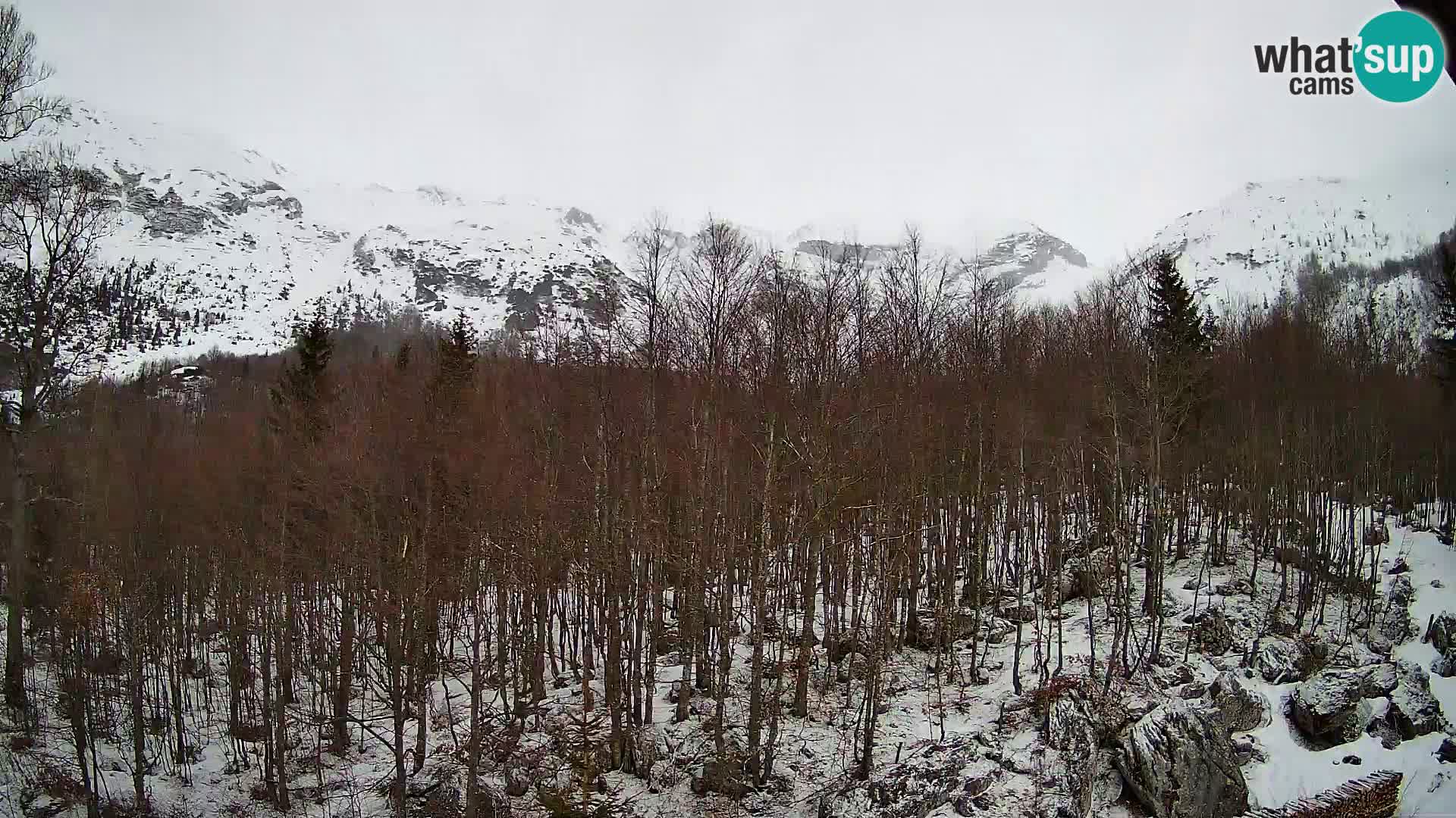 PLANINA RAZOR webcam (1315) | view to Vogel and Globoko