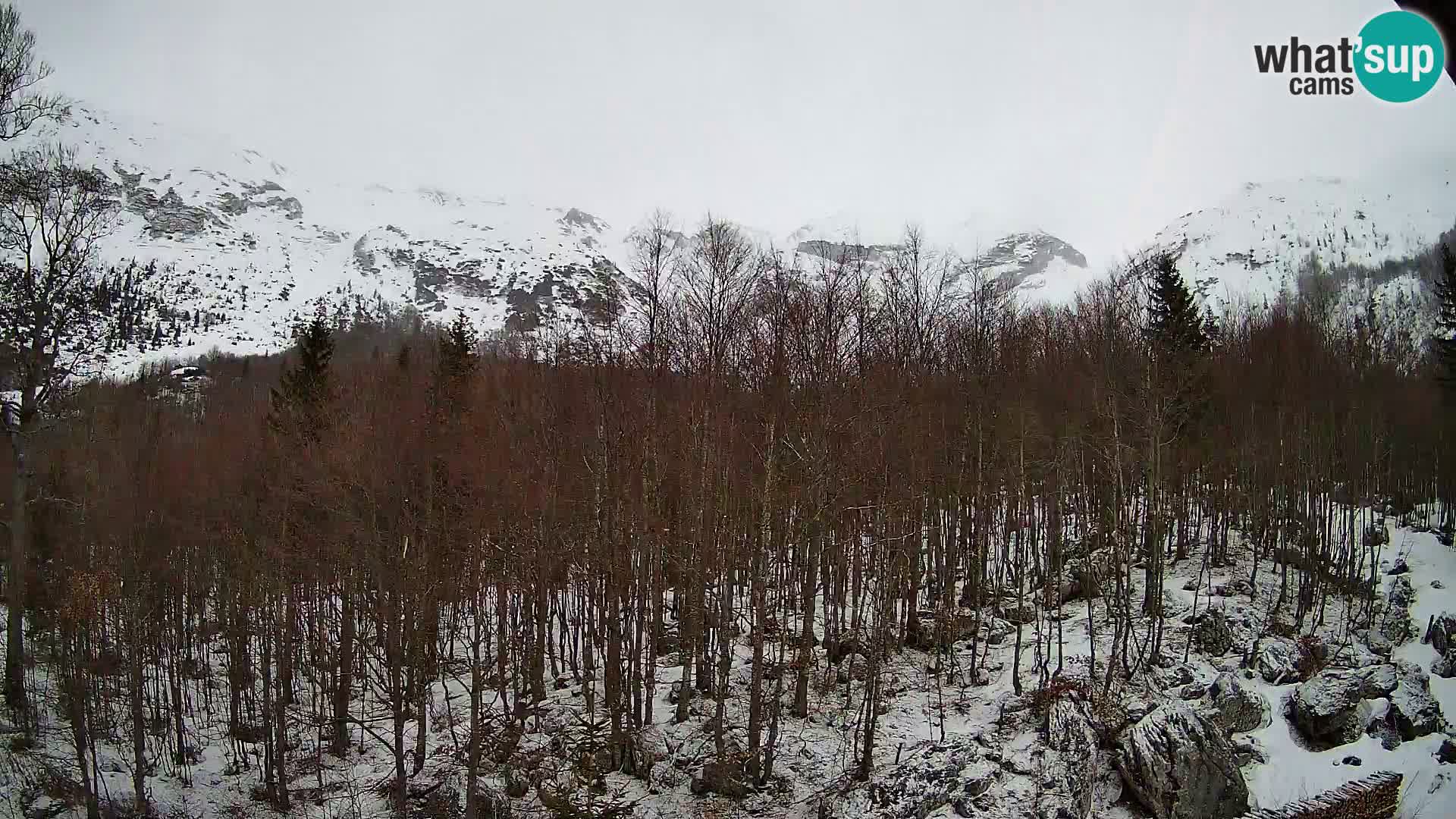 PLANINA RAZOR webcam (1315) | view to Vogel and Globoko