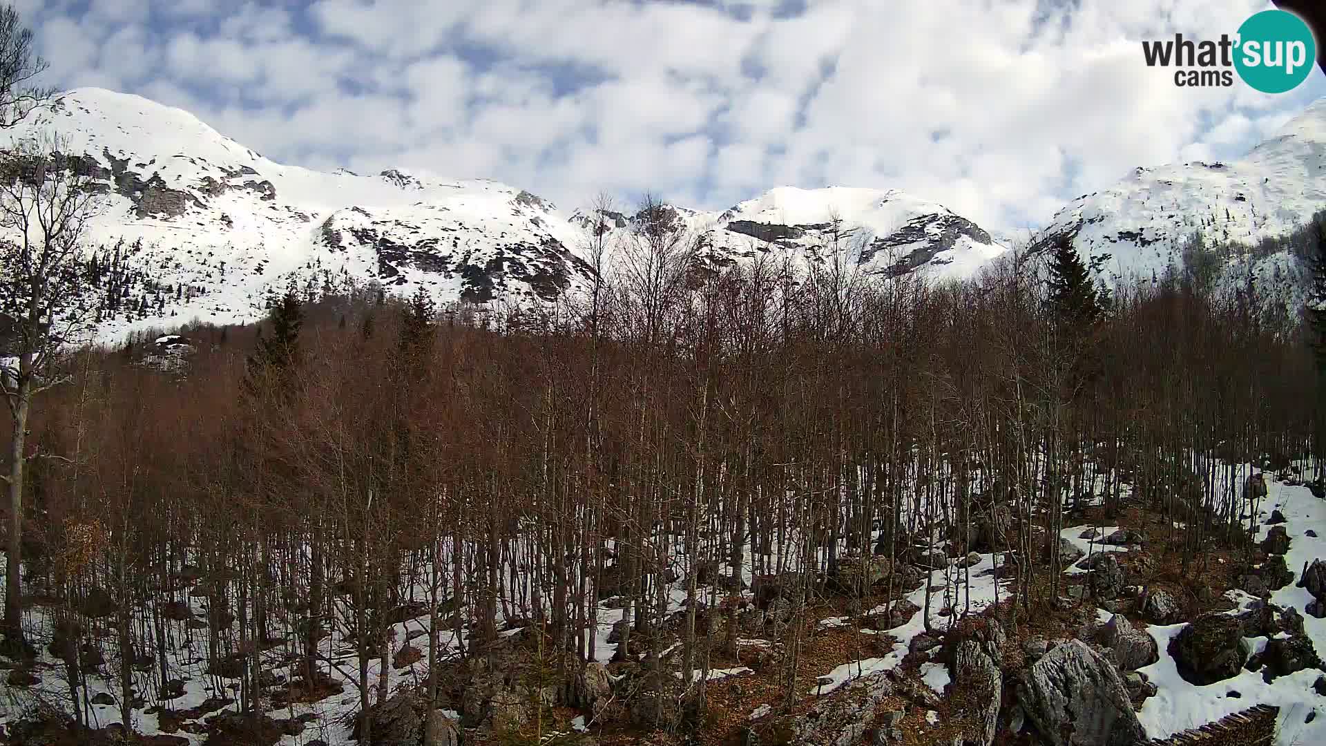 PLANINA RAZOR web kamera (1315) | pogled na Vogel i Globoko