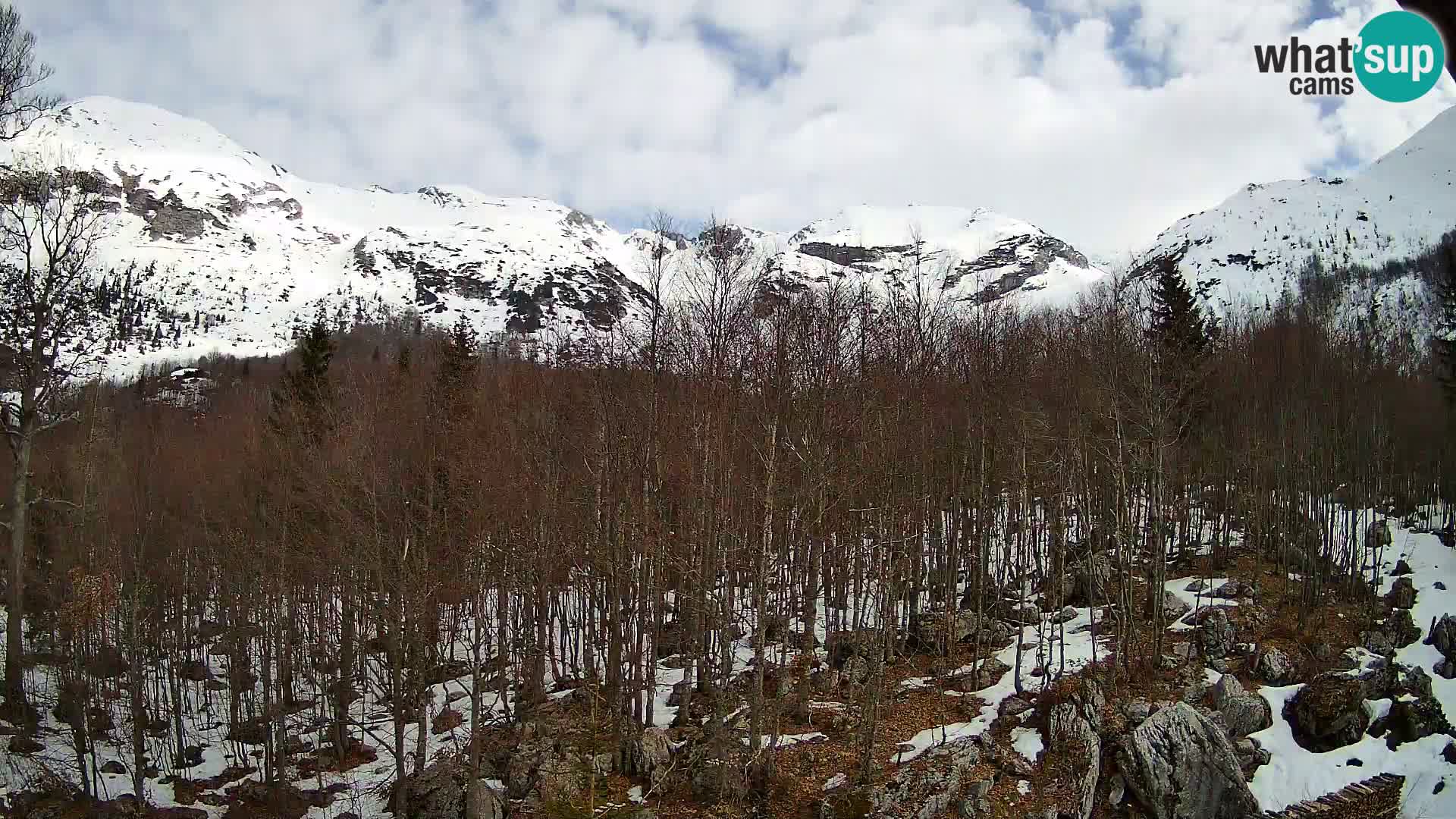 PLANINA RAZOR webcam (1315) | view to Vogel and Globoko