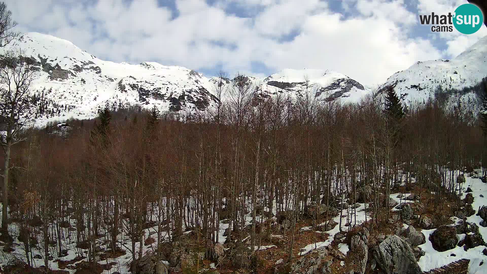 PLANINA RAZOR Live Cam (1315) | vista su Vogel e Globoko
