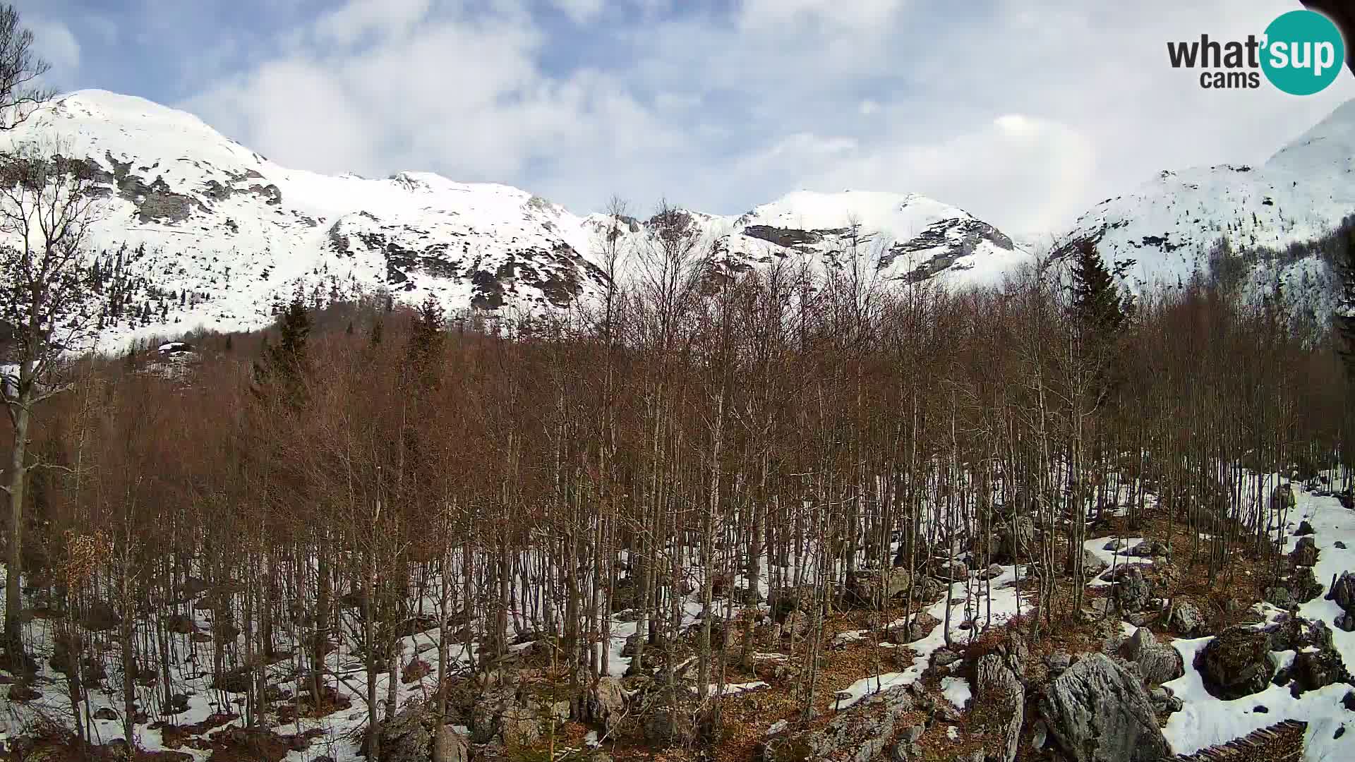 PLANINA RAZOR webcam (1315) | view to Vogel and Globoko