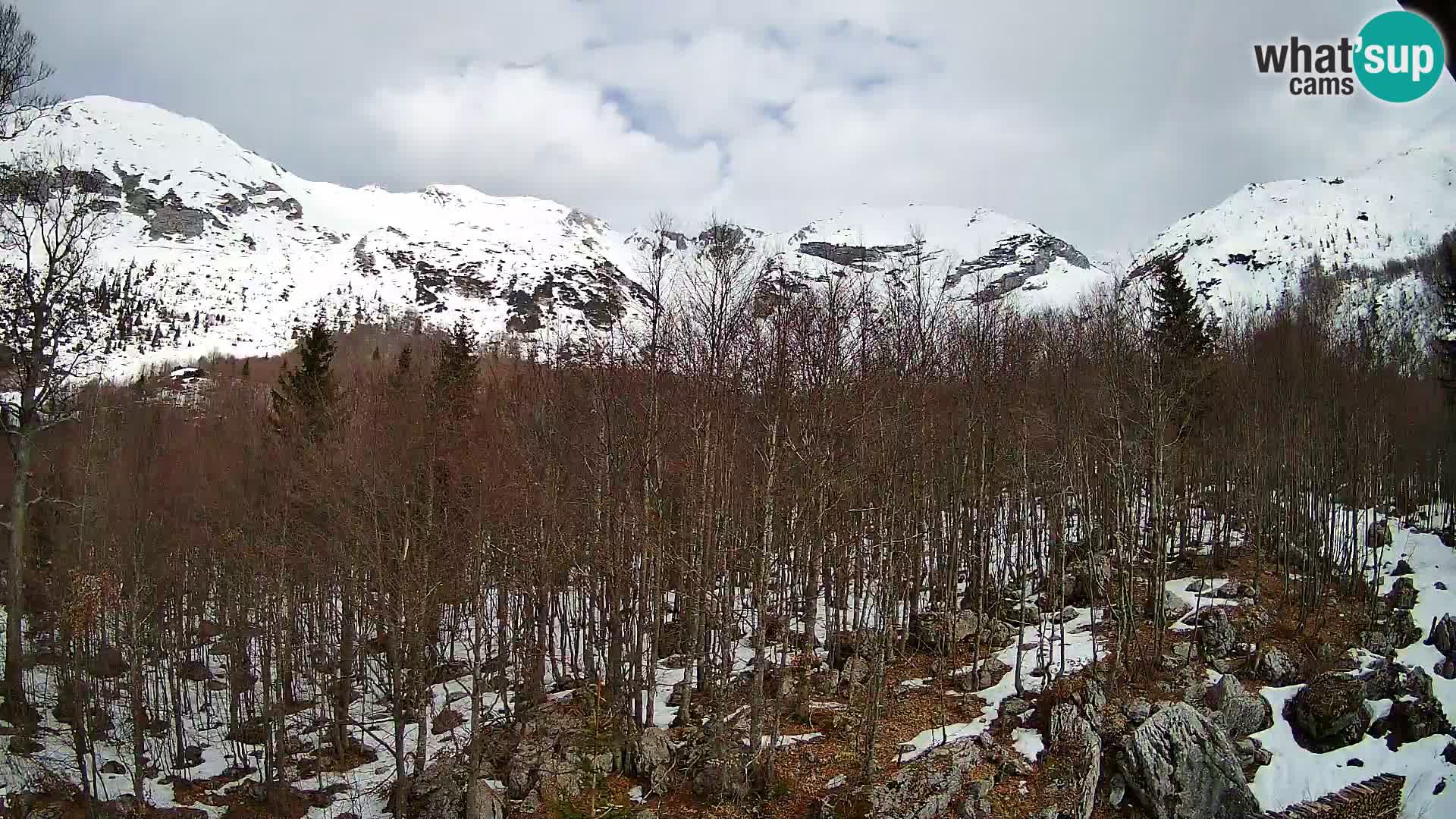 PLANINA RAZOR Live Cam (1315) | vista su Vogel e Globoko