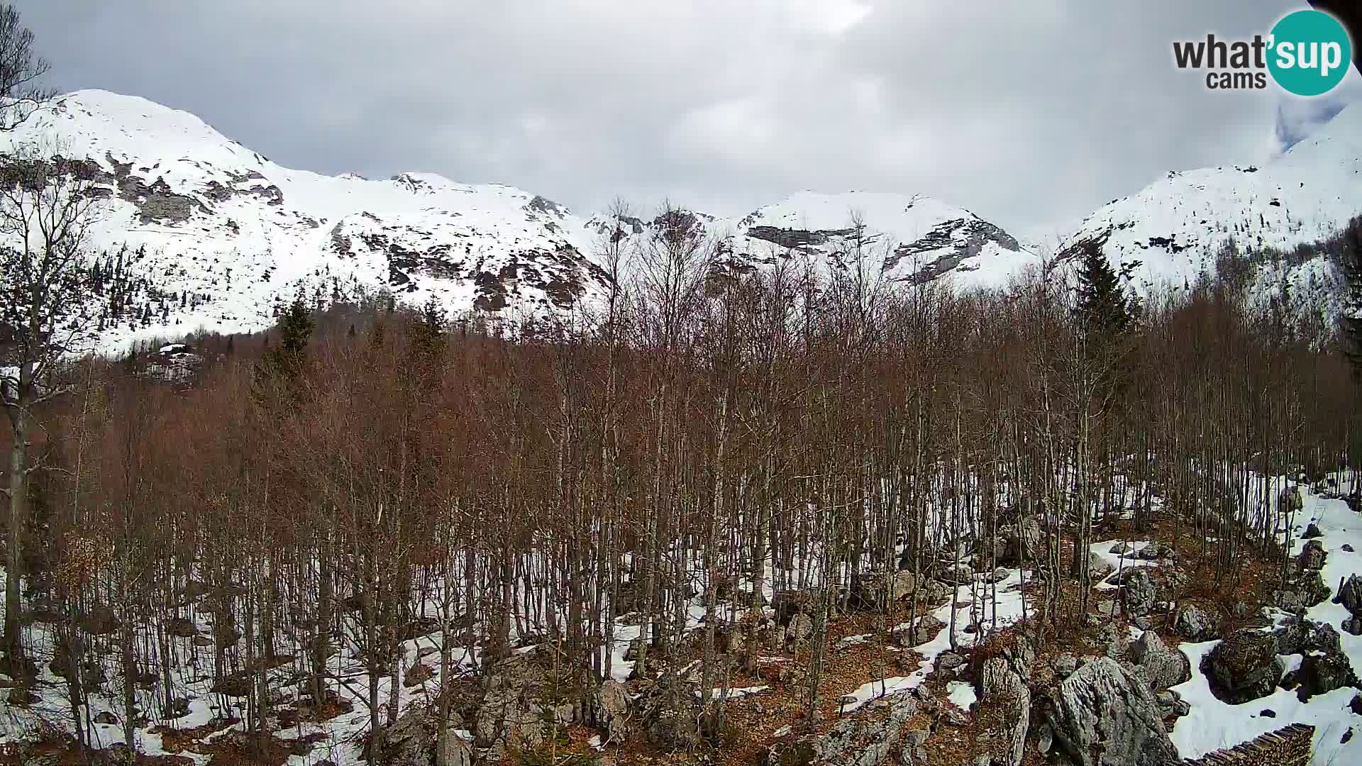 PLANINA RAZOR webcam (1315) | view to Vogel and Globoko