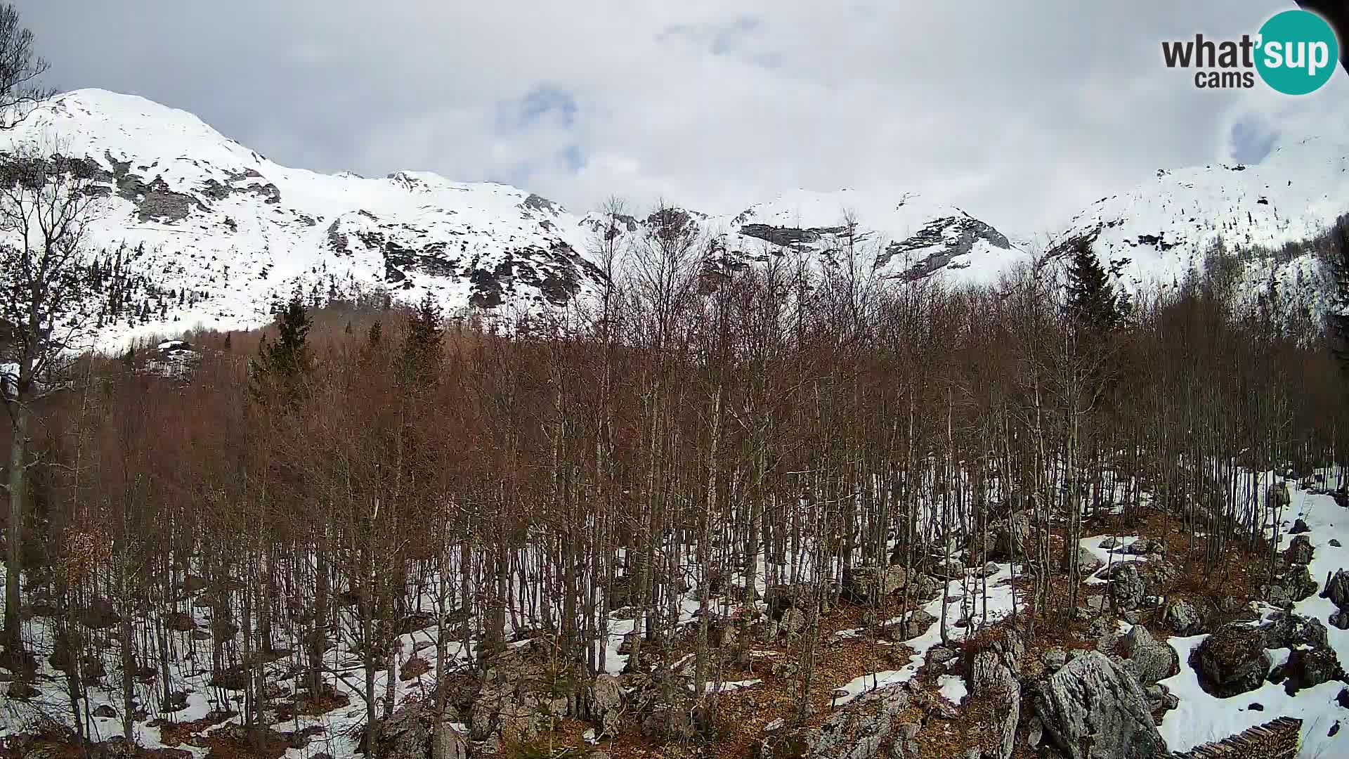 PLANINA RAZOR webcam (1315) | view to Vogel and Globoko