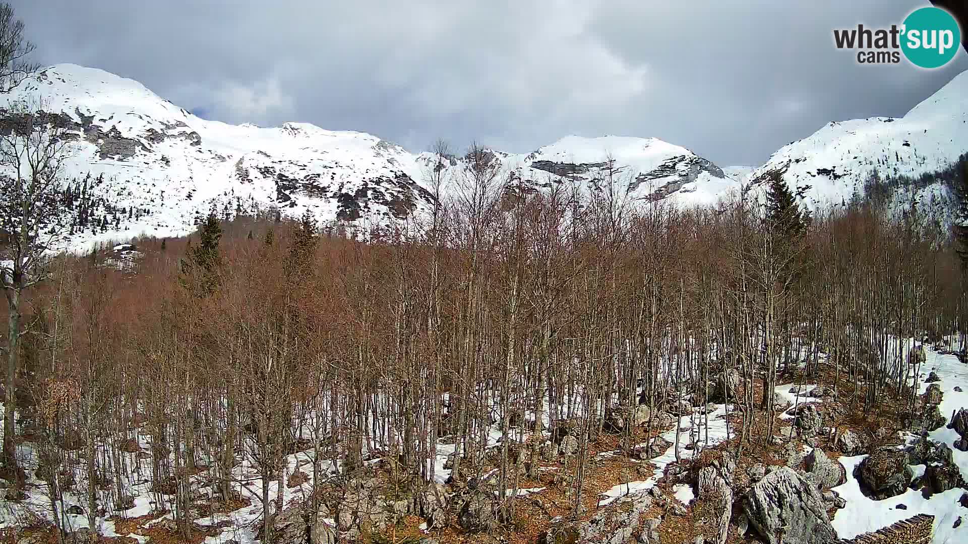 PLANINA RAZOR webcam (1315) | view to Vogel and Globoko