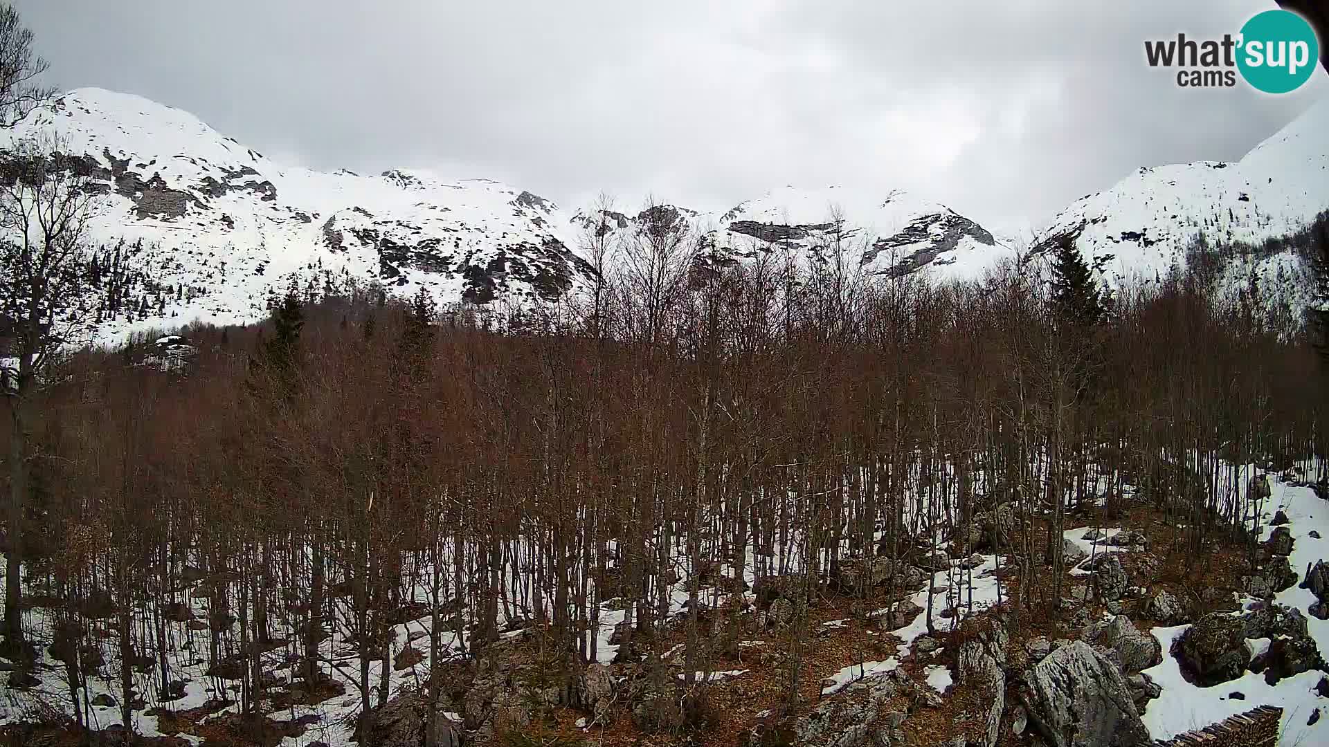 PLANINA RAZOR webcam (1315) | view to Vogel and Globoko