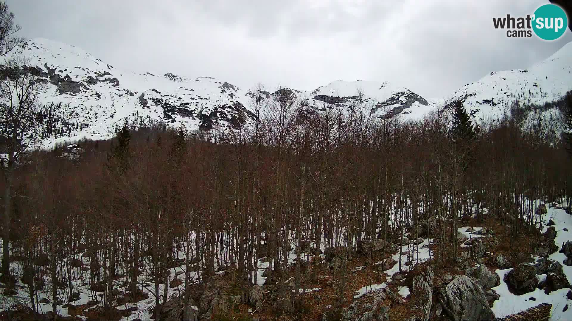 Webcam PLANINA RAZOR (1315) | Blick auf Vogel und Globoko