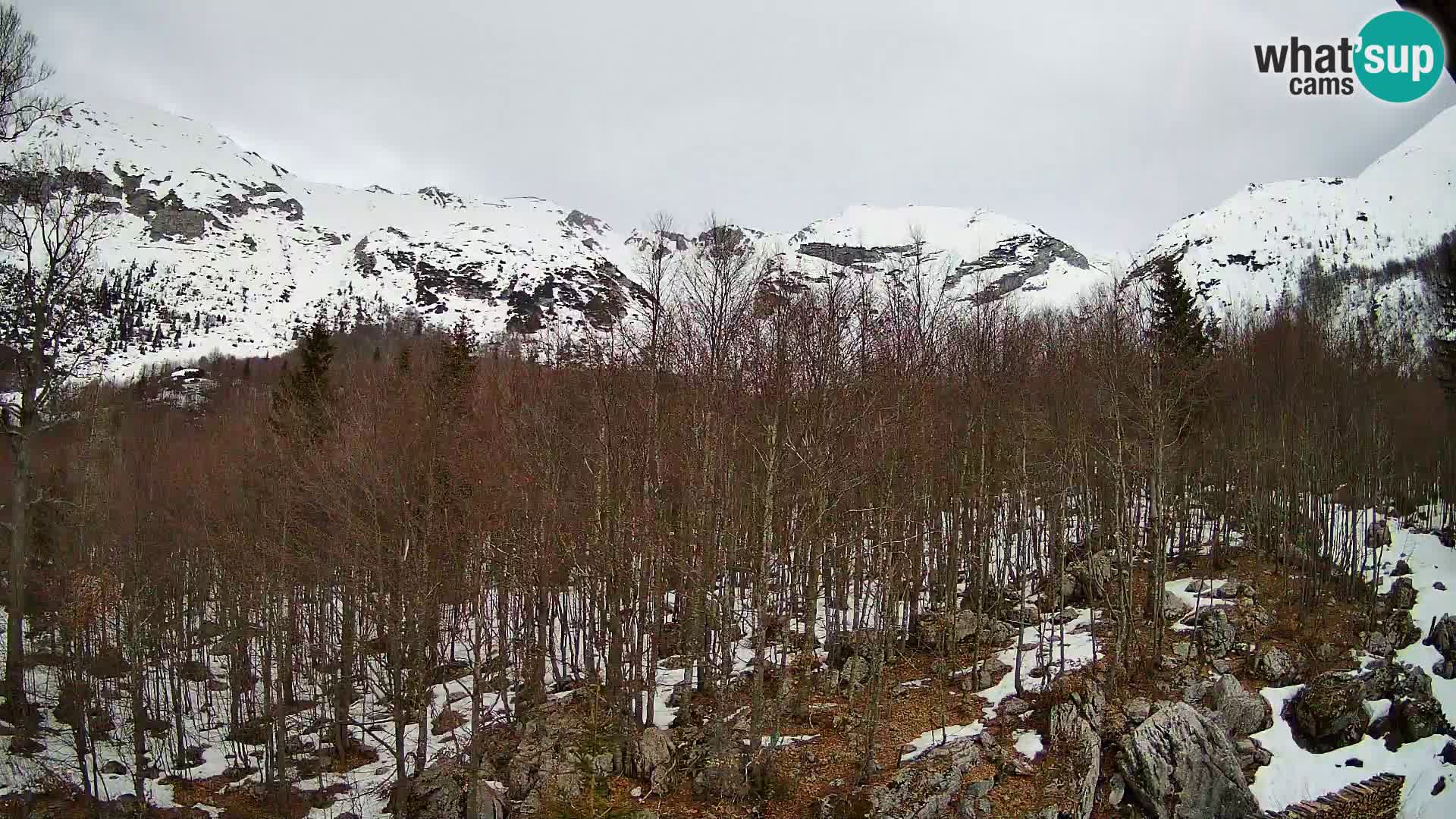 PLANINA RAZOR Live Cam (1315) | vista su Vogel e Globoko