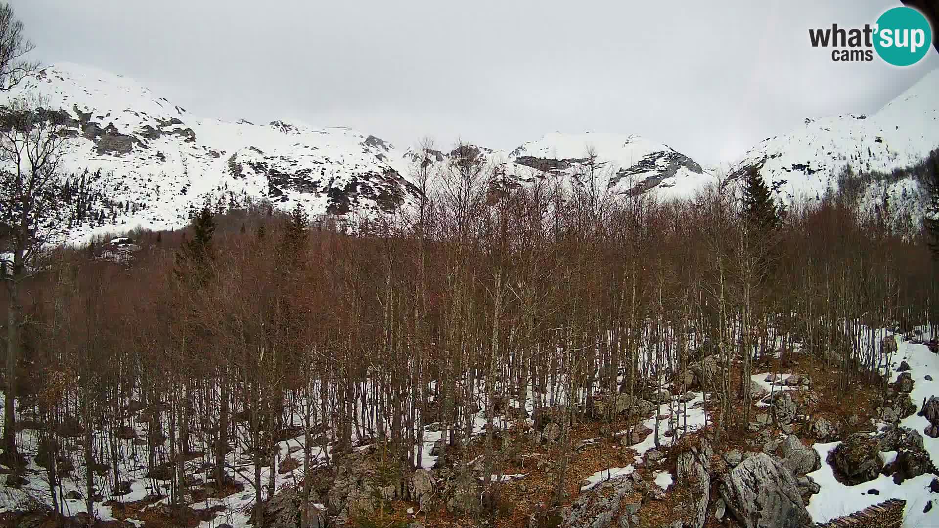 PLANINA RAZOR webcam (1315) | view to Vogel and Globoko