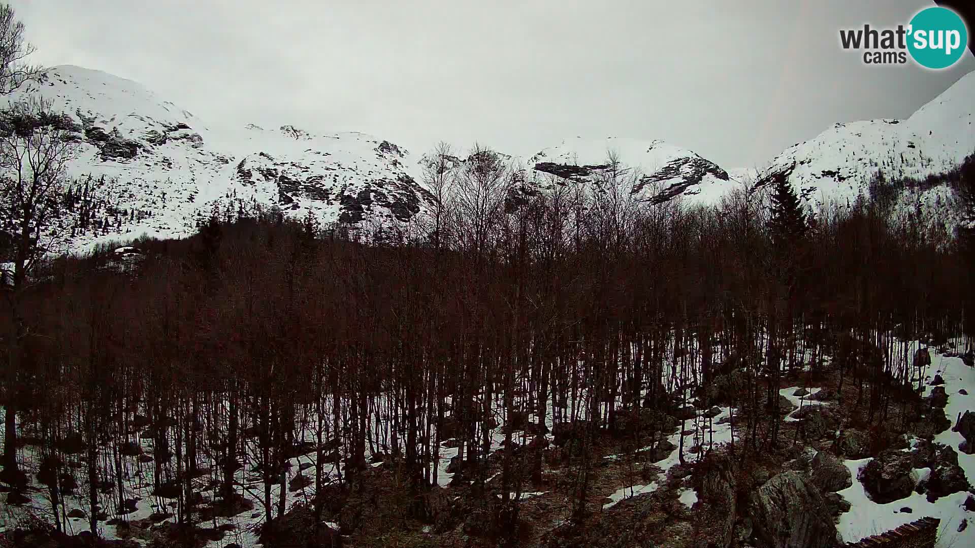 PLANINA RAZOR webcam (1315) | view to Vogel and Globoko