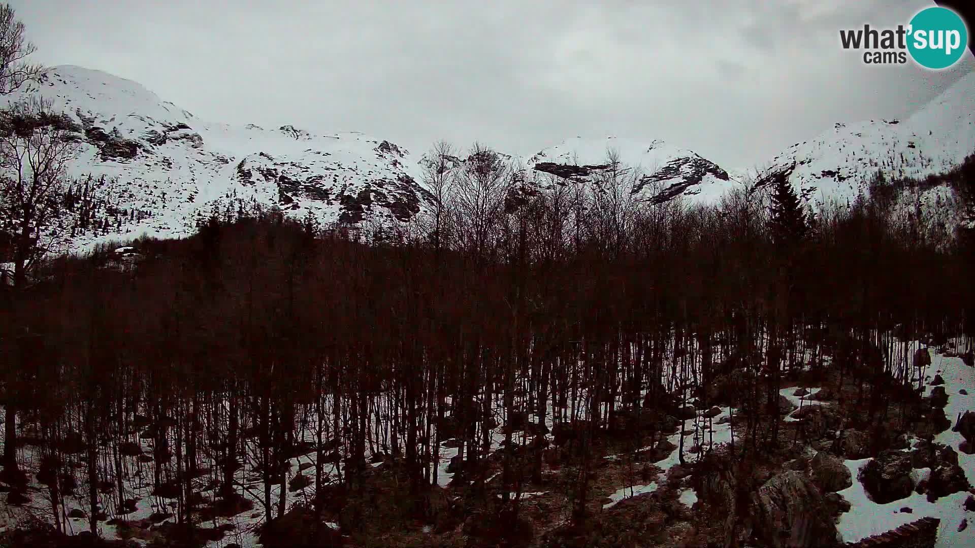 Webcam PLANINA RAZOR (1315) | Blick auf Vogel und Globoko