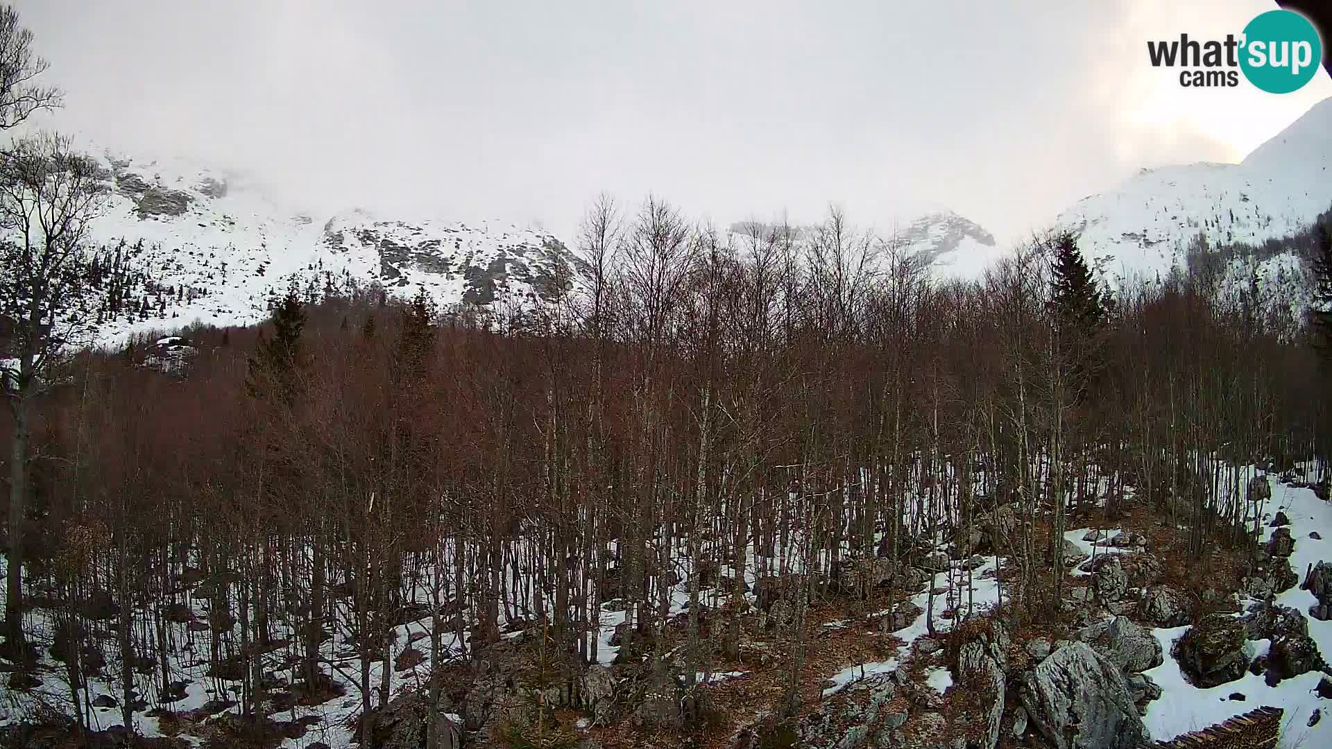 PLANINA RAZOR webcam (1315) | view to Vogel and Globoko