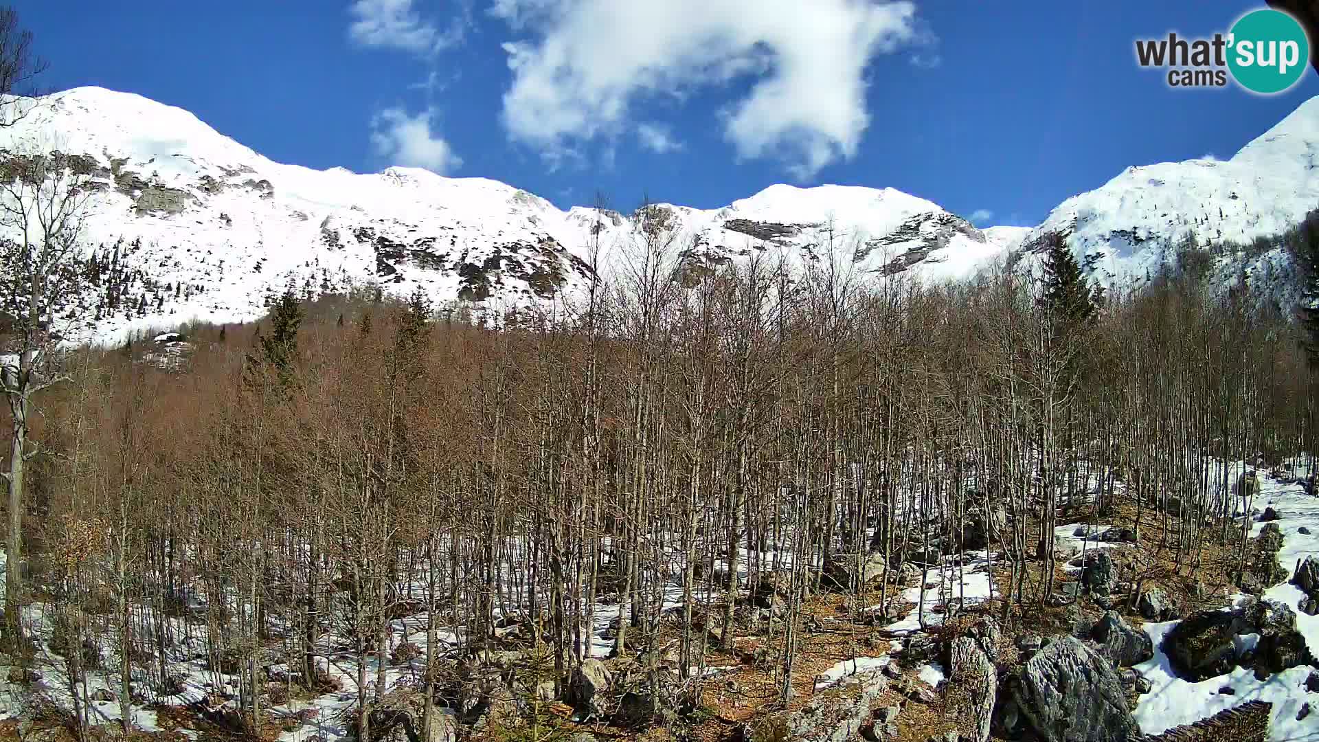 Webcam PLANINA RAZOR (1315) | Blick auf Vogel und Globoko