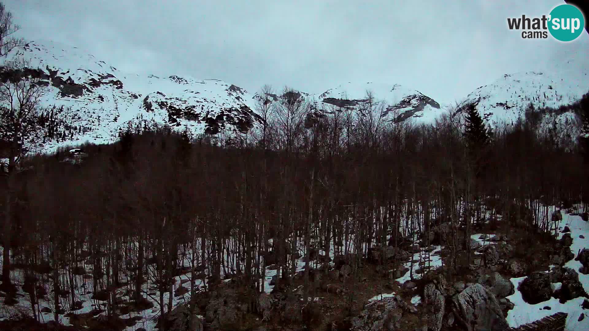 PLANINA RAZOR webcam (1315) | view to Vogel and Globoko