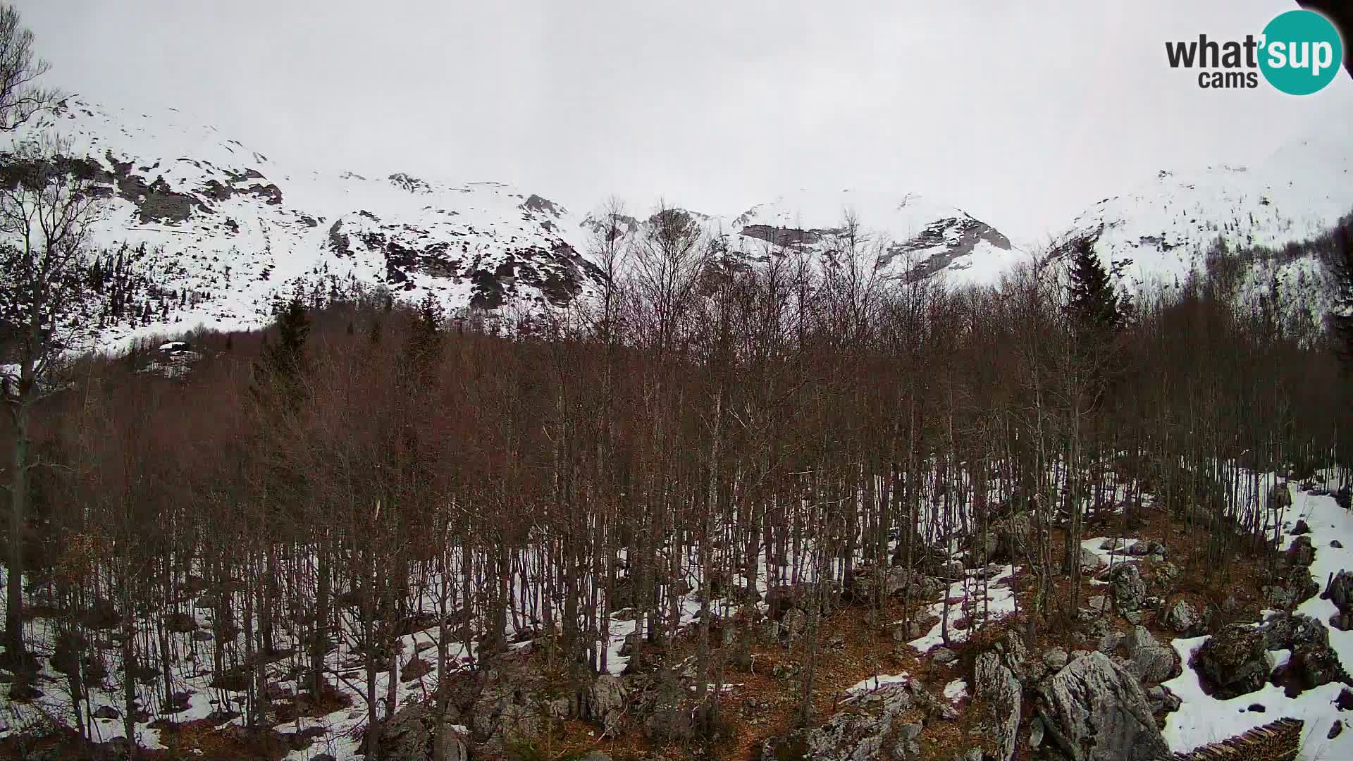 PLANINA RAZOR web kamera (1315) | pogled na Vogel i Globoko