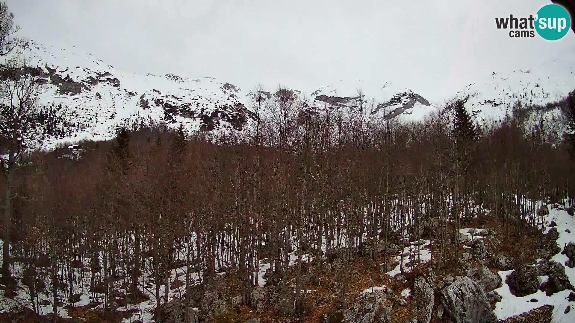 PLANINA RAZOR kamera (1315) | pogled na Vogel in Globoko