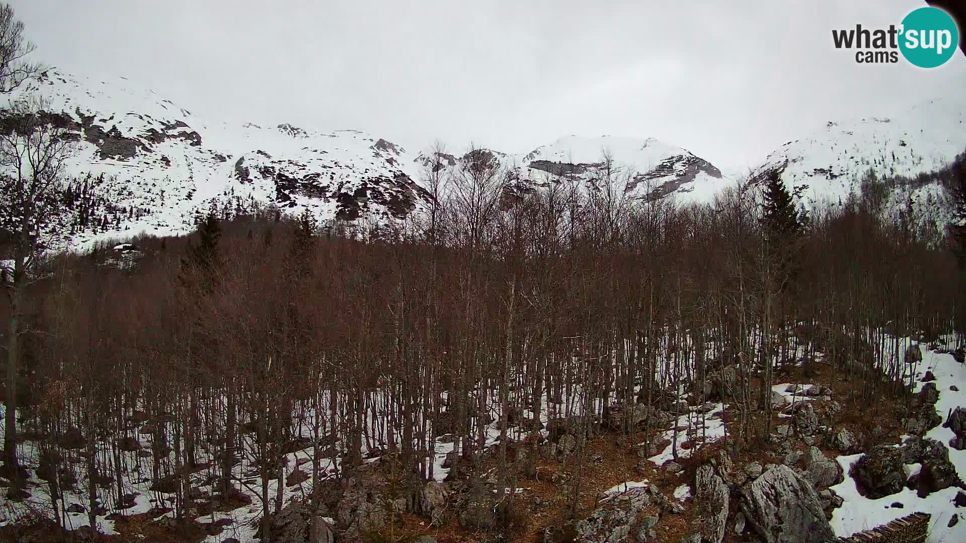 Livecam PLANINA RAZOR (1315) | vue sur Vogel et Globoko