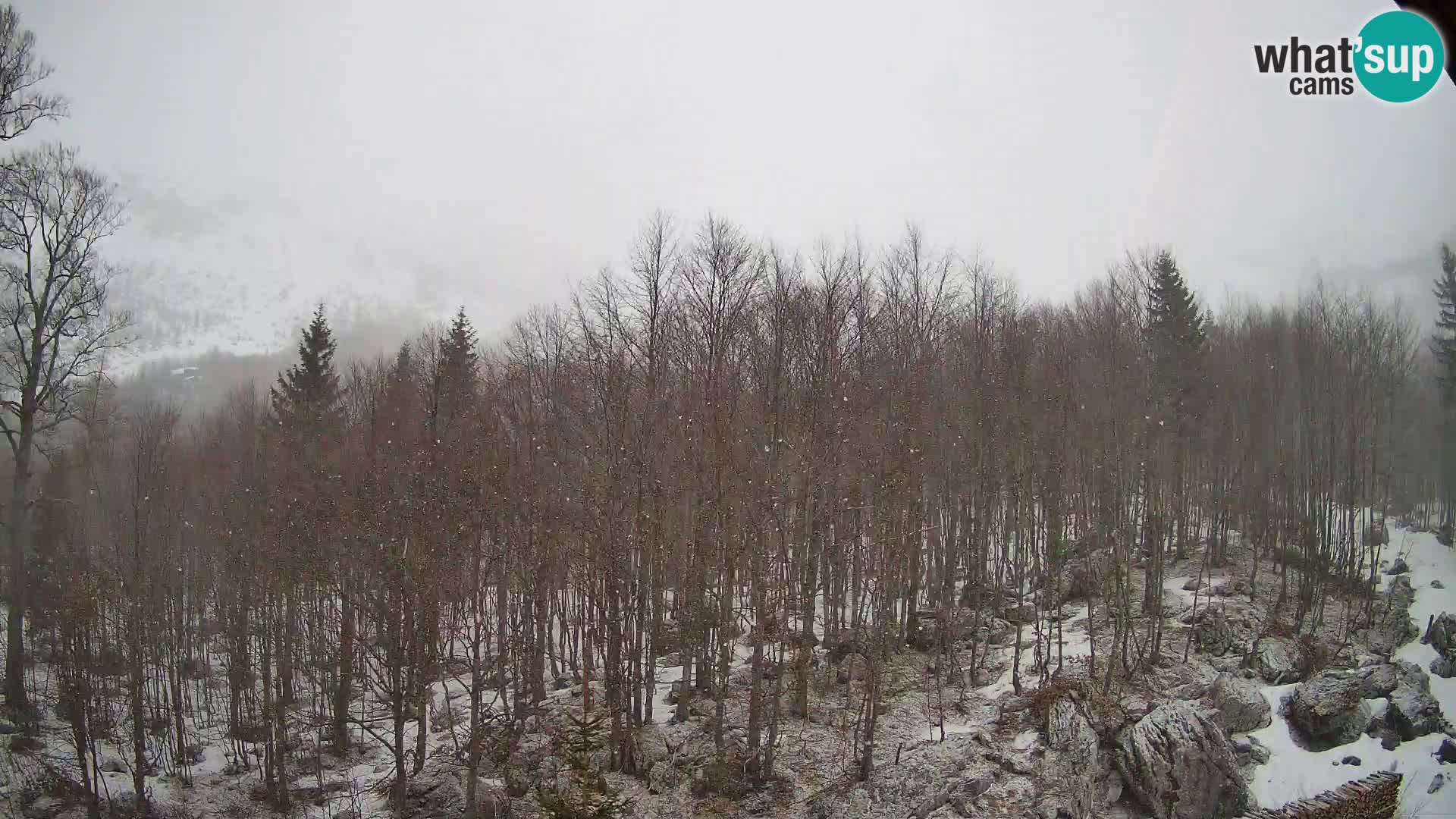 Webcam PLANINA RAZOR (1315) | Blick auf Vogel und Globoko