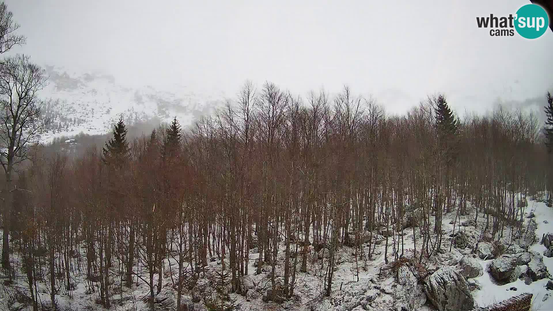 PLANINA RAZOR web kamera (1315) | pogled na Vogel i Globoko