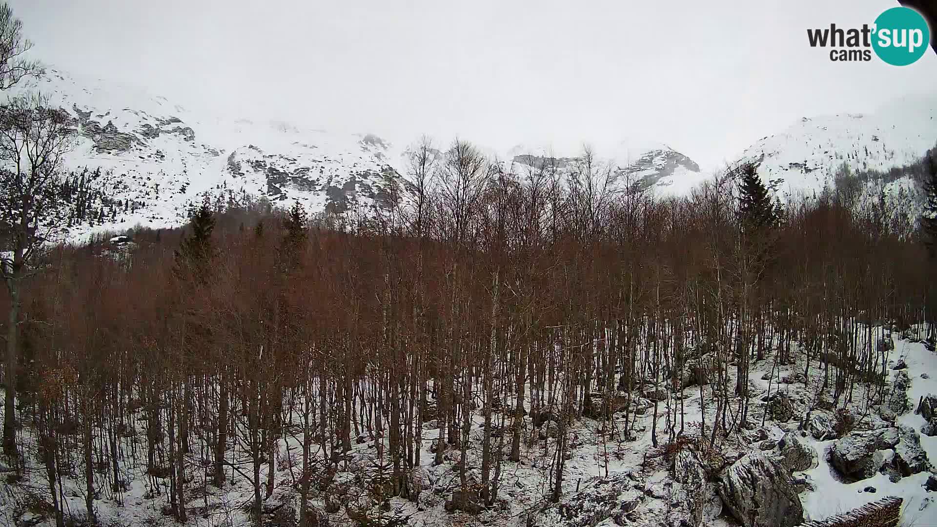 Webcam PLANINA RAZOR (1315) | Blick auf Vogel und Globoko