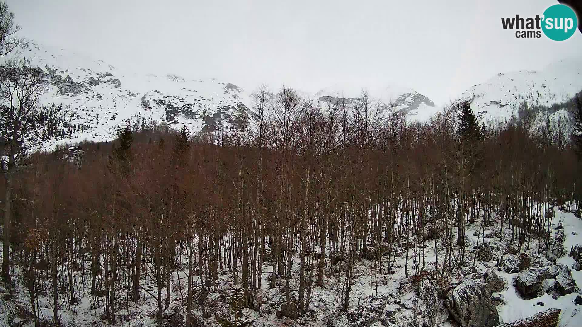 Livecam PLANINA RAZOR (1315) | vue sur Vogel et Globoko