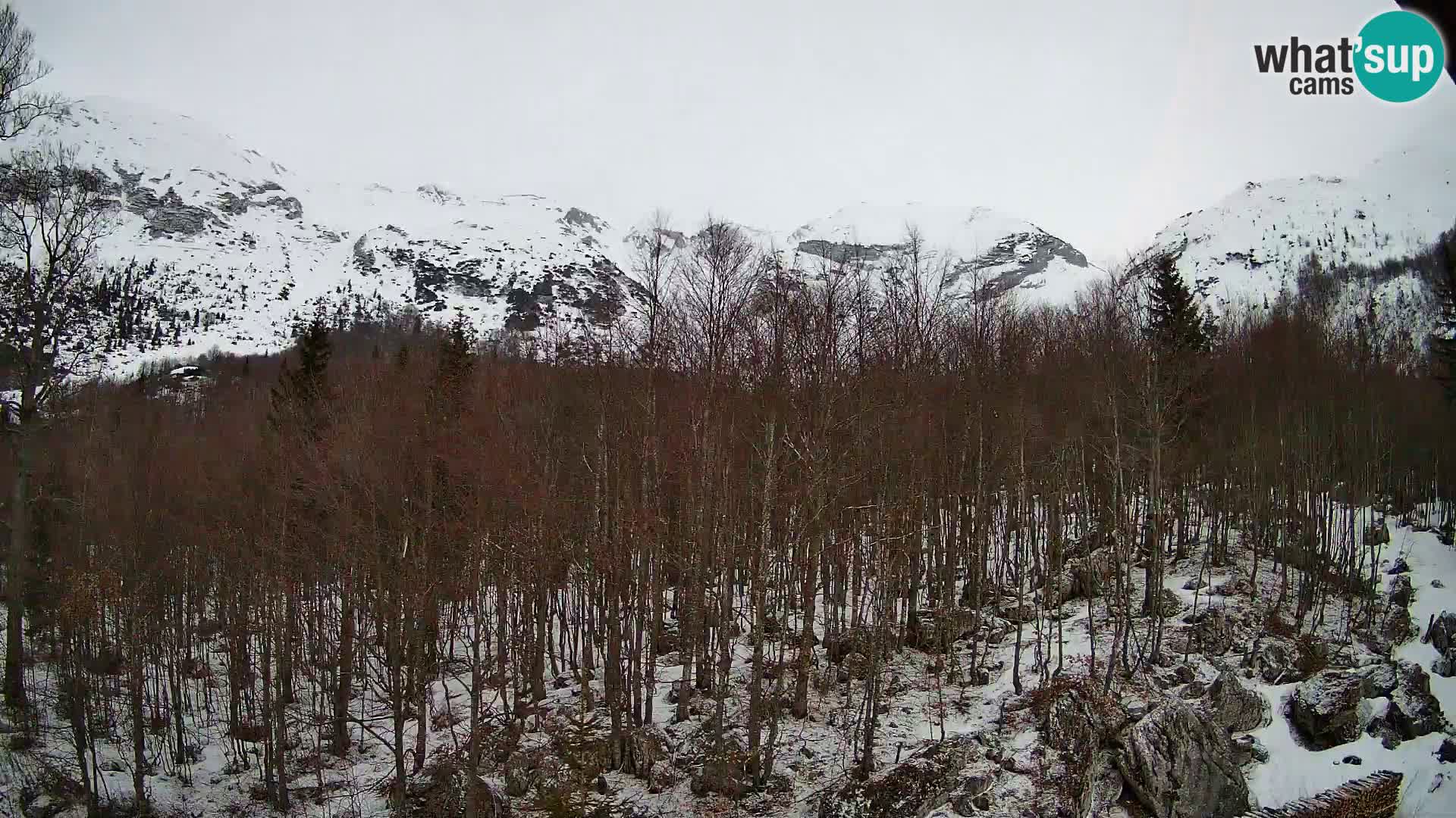 Cámara web PLANINA RAZOR (1315) | vista a Vogel y Globoko