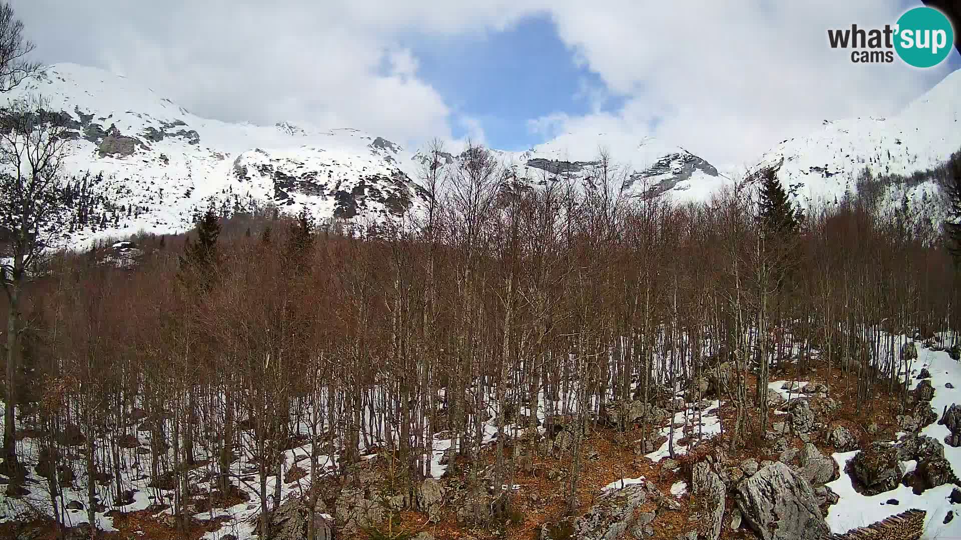PLANINA RAZOR kamera (1315) | pogled na Vogel in Globoko
