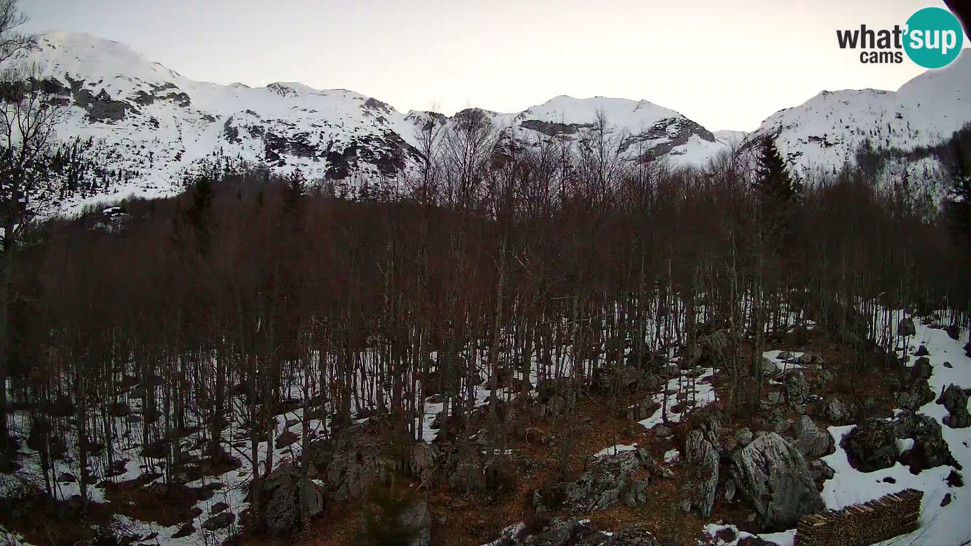 PLANINA RAZOR kamera (1315) | pogled na Vogel in Globoko