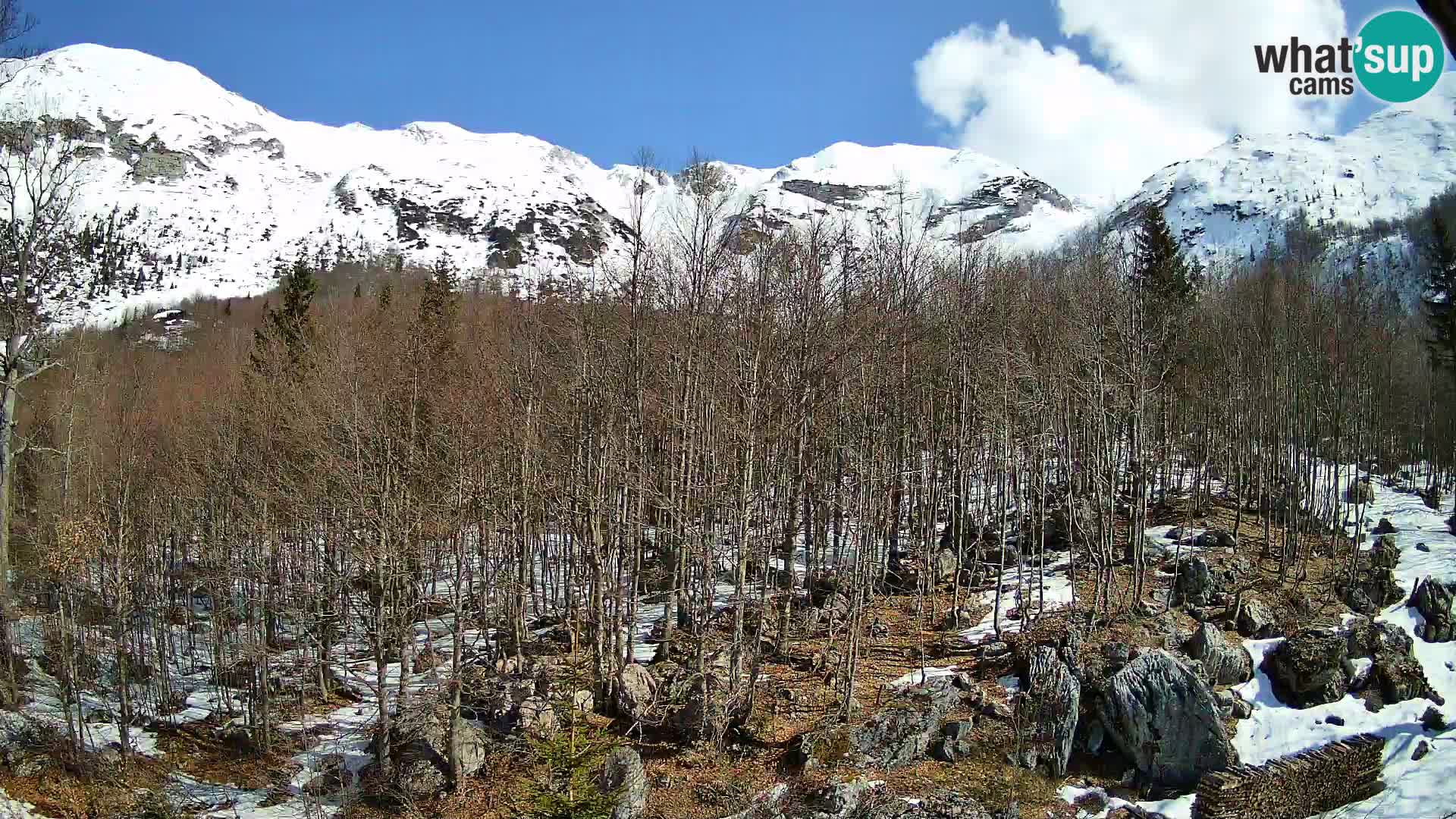 PLANINA RAZOR web kamera (1315) | pogled na Vogel i Globoko