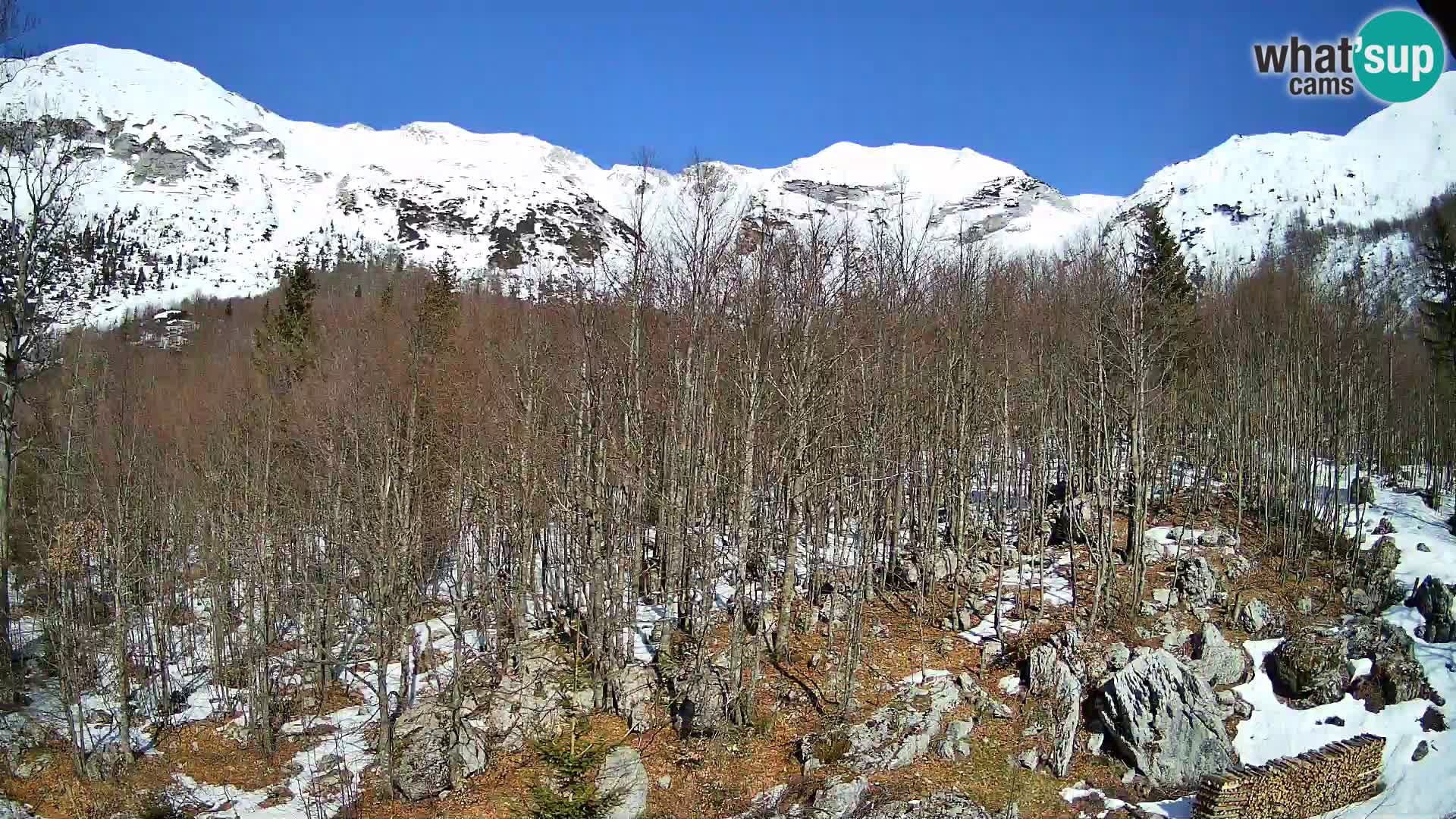 Webcam PLANINA RAZOR (1315) | Blick auf Vogel und Globoko