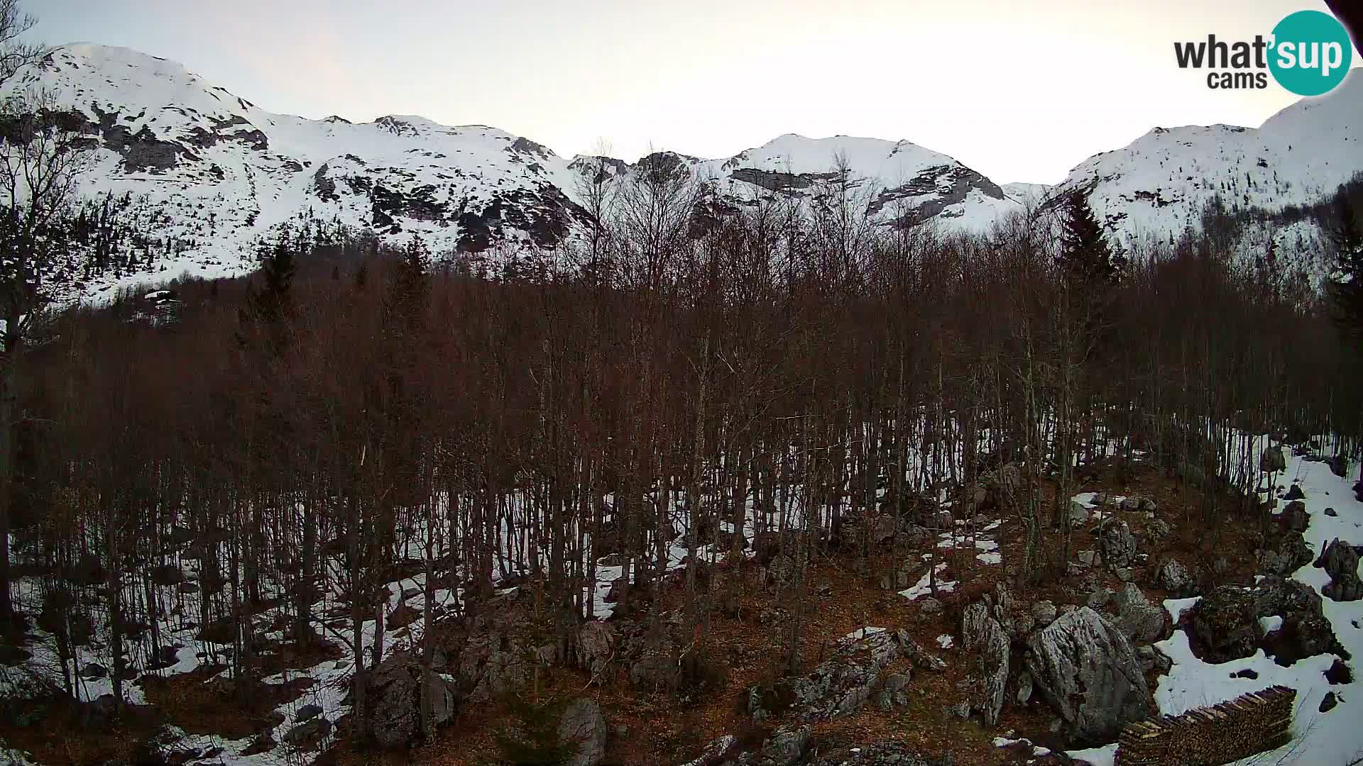 PLANINA RAZOR Live Cam (1315) | vista su Vogel e Globoko