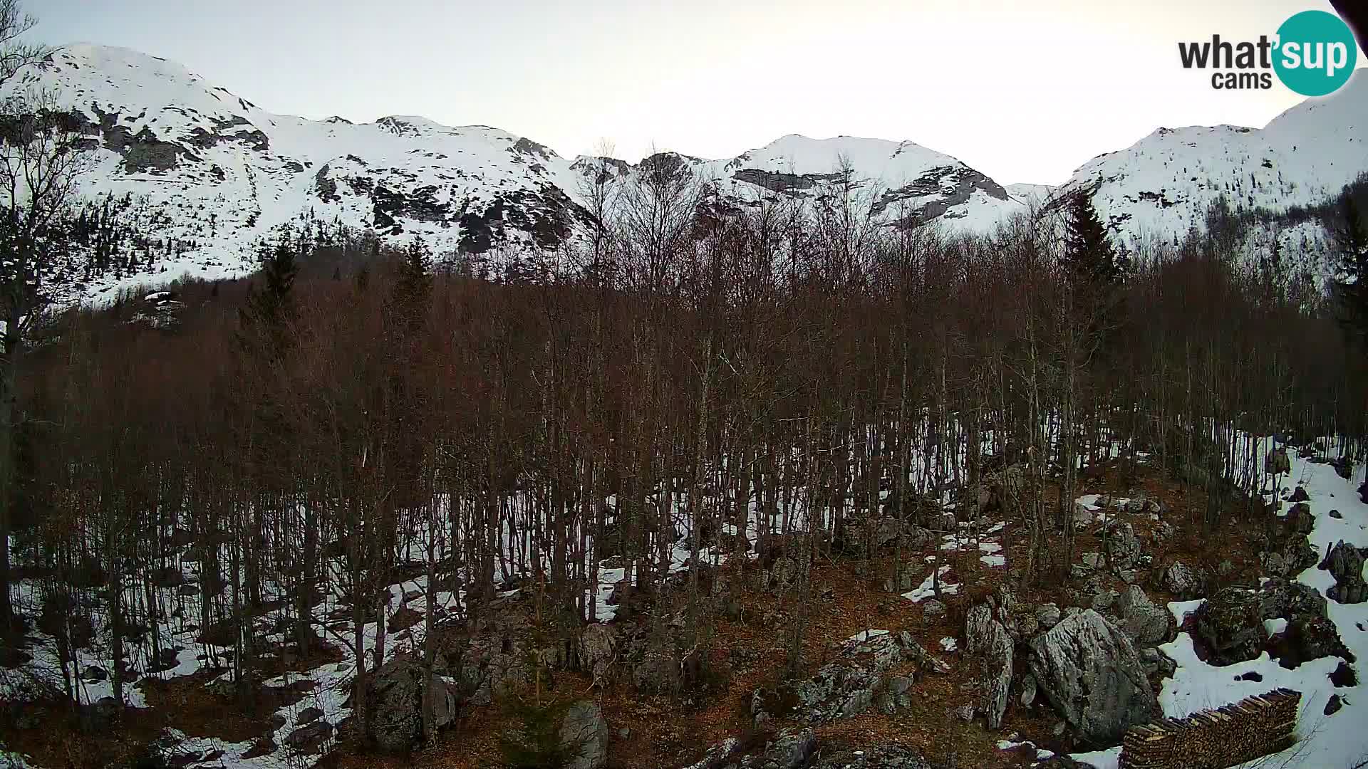 PLANINA RAZOR webcam (1315) | view to Vogel and Globoko