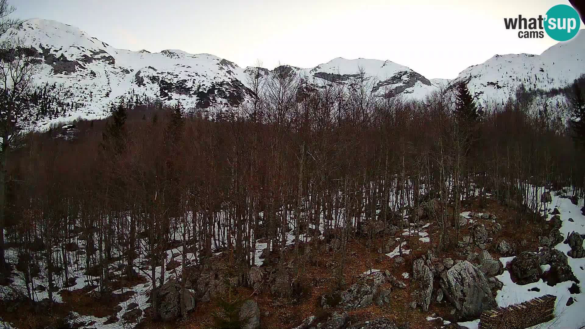 PLANINA RAZOR Live Cam (1315) | vista su Vogel e Globoko