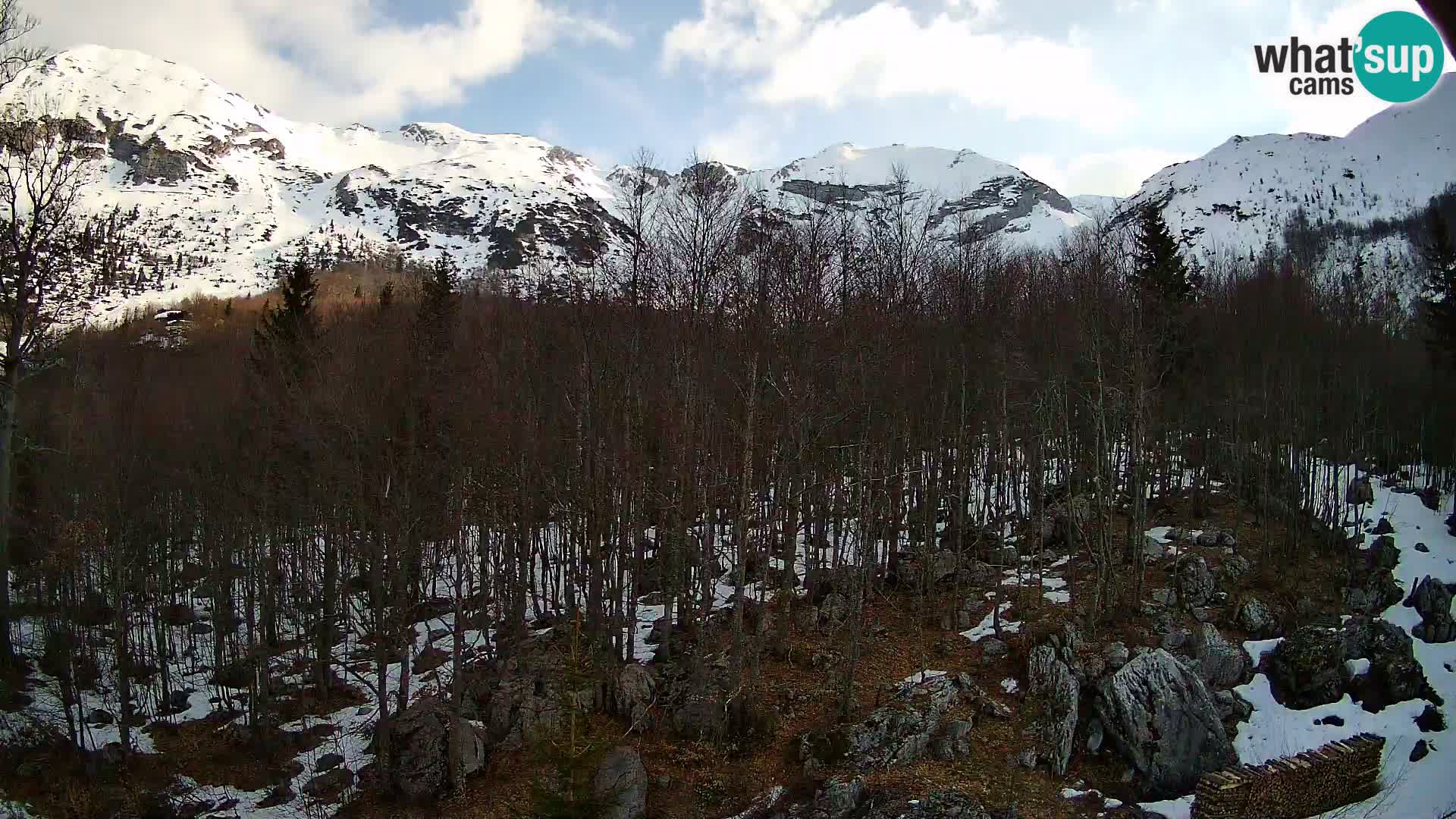 PLANINA RAZOR web kamera (1315) | pogled na Vogel i Globoko