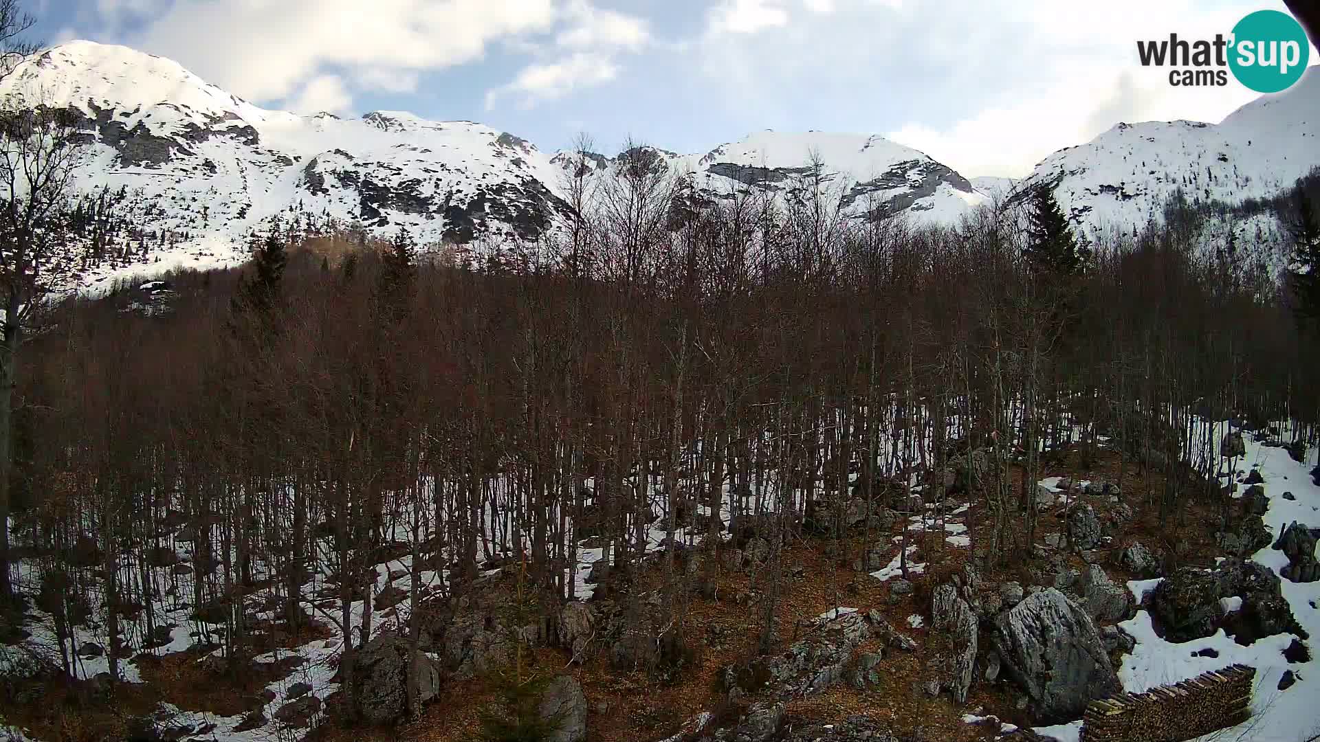 Livecam PLANINA RAZOR (1315) | vue sur Vogel et Globoko