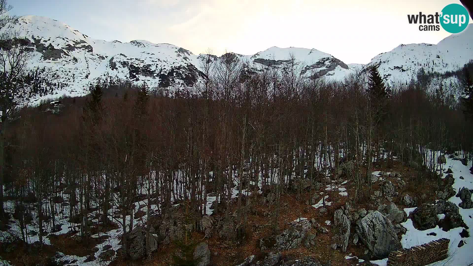 PLANINA RAZOR kamera (1315) | pogled na Vogel in Globoko