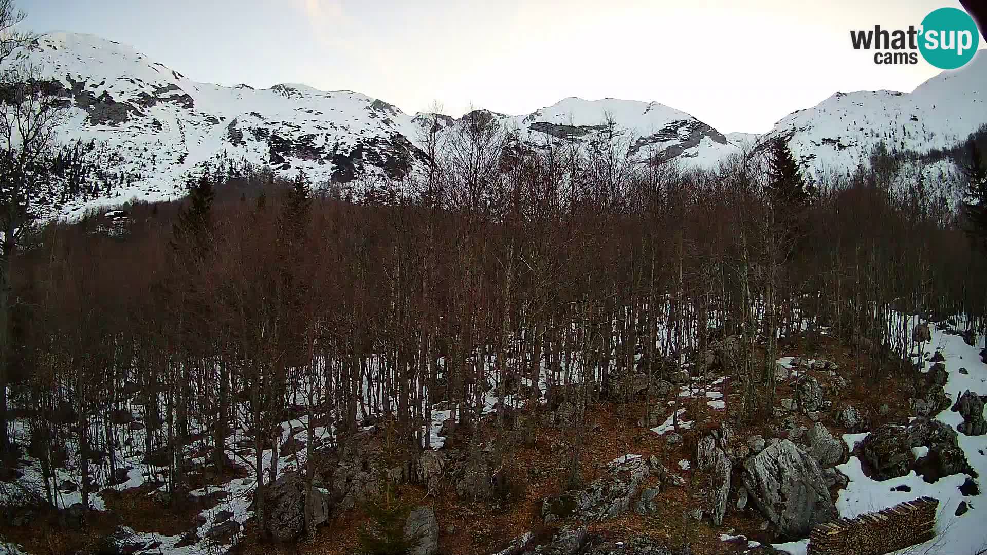 Livecam PLANINA RAZOR (1315) | vue sur Vogel et Globoko
