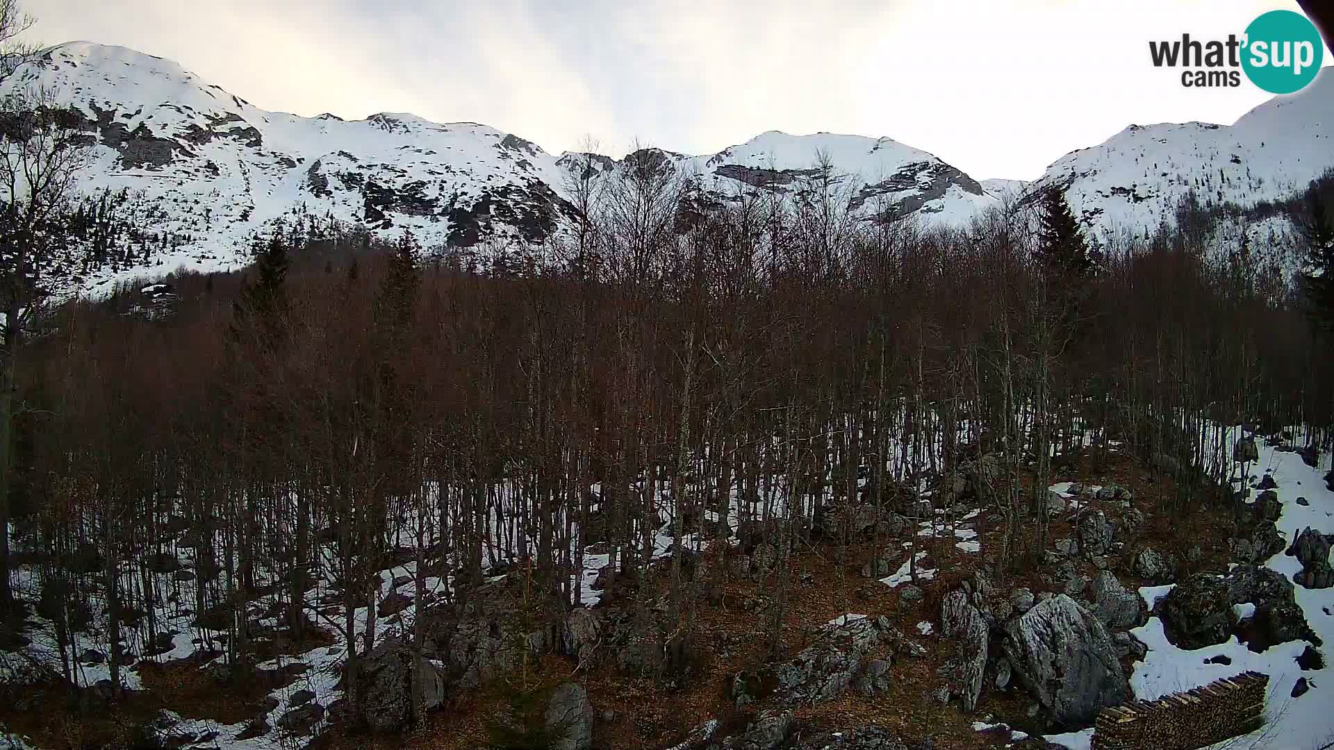 PLANINA RAZOR webcam (1315) | view to Vogel and Globoko