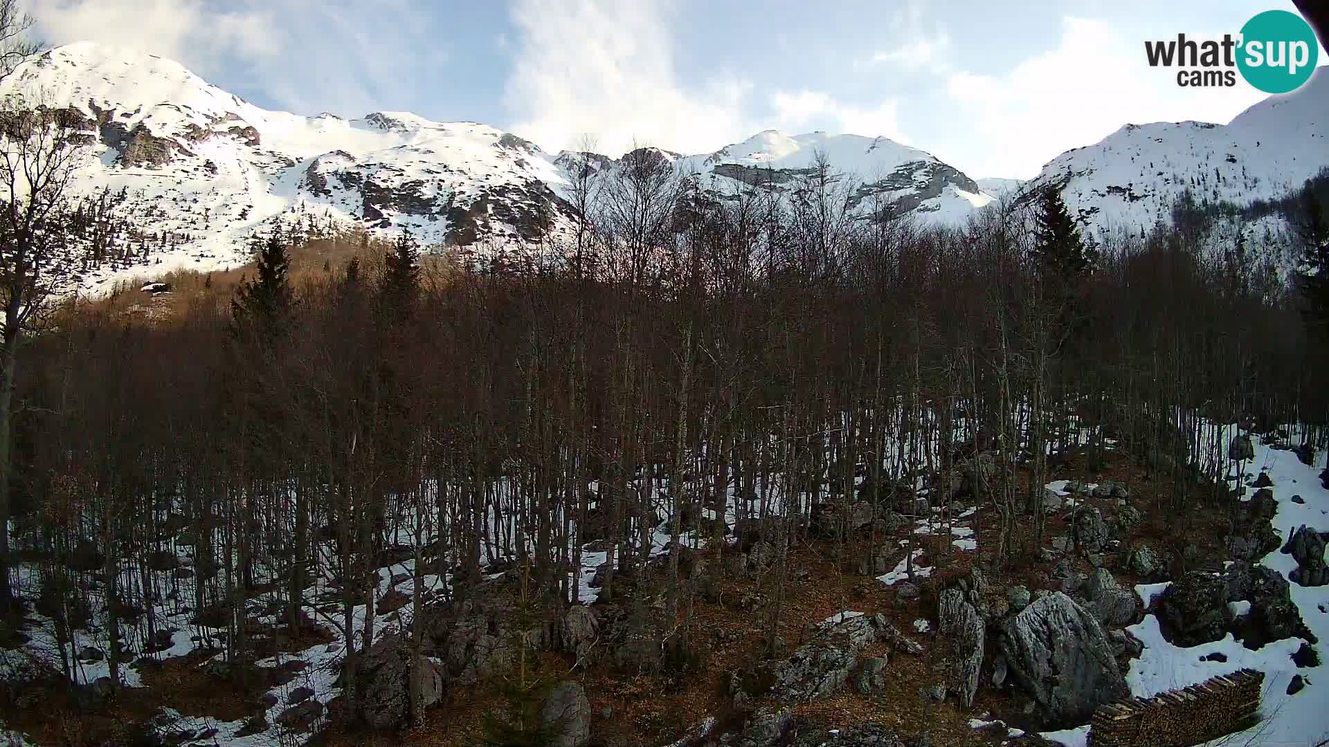 PLANINA RAZOR Live Cam (1315) | vista su Vogel e Globoko