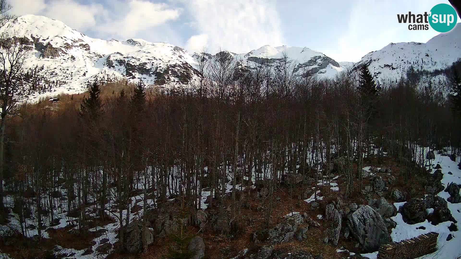 PLANINA RAZOR Live Cam (1315) | vista su Vogel e Globoko