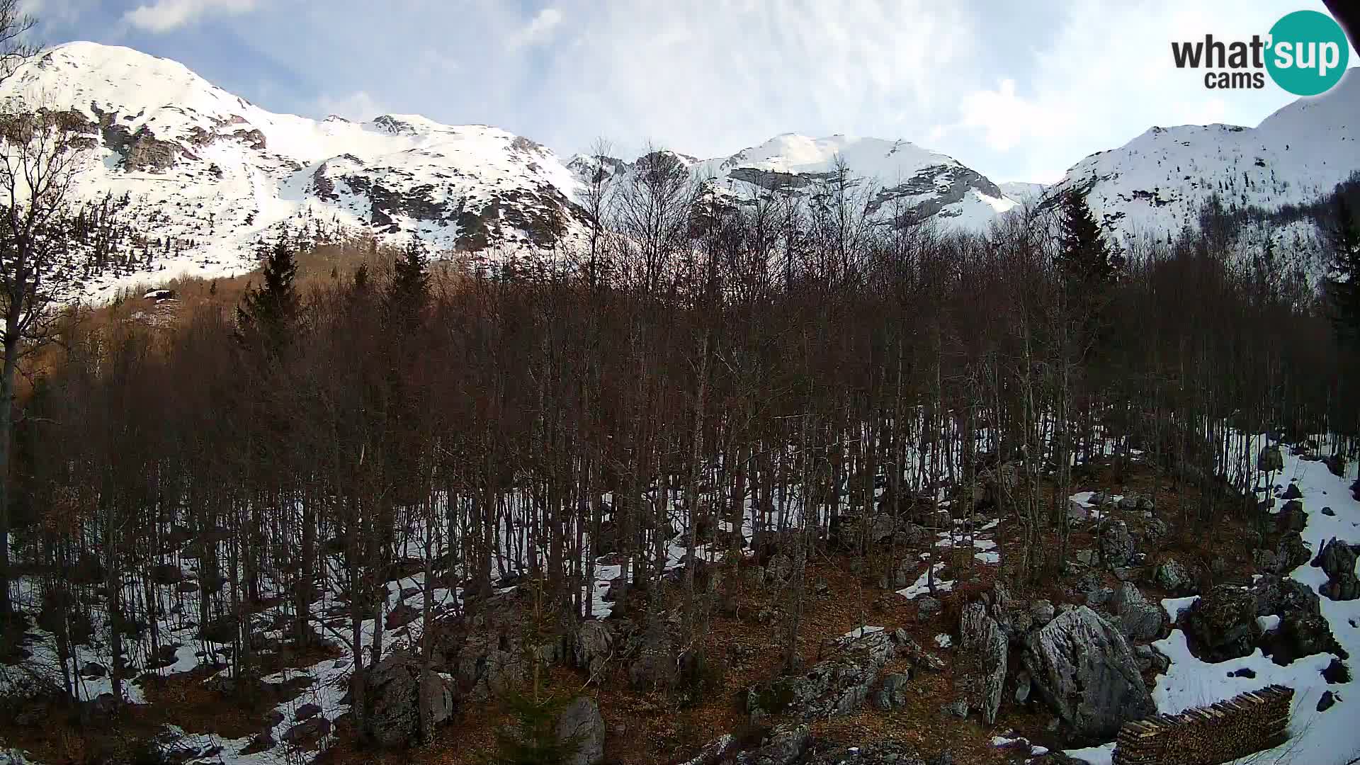 PLANINA RAZOR webcam (1315) | view to Vogel and Globoko